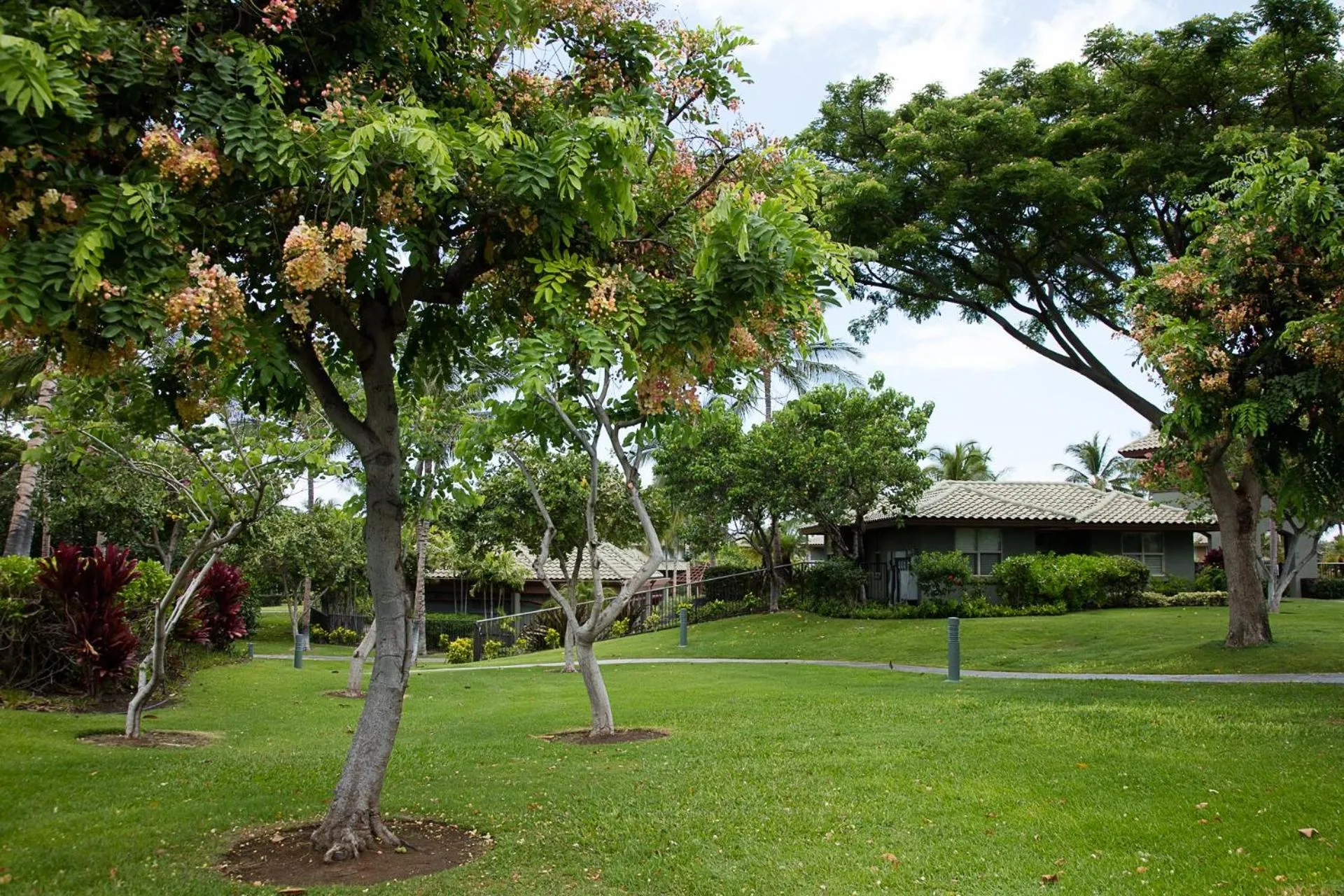 Other in ORCHID VILLA Inviting Fairways 3BR with Bikes and Private Beach Club