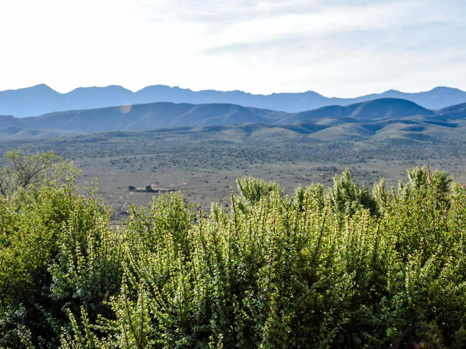 Natural landscape in Bella de Karoo