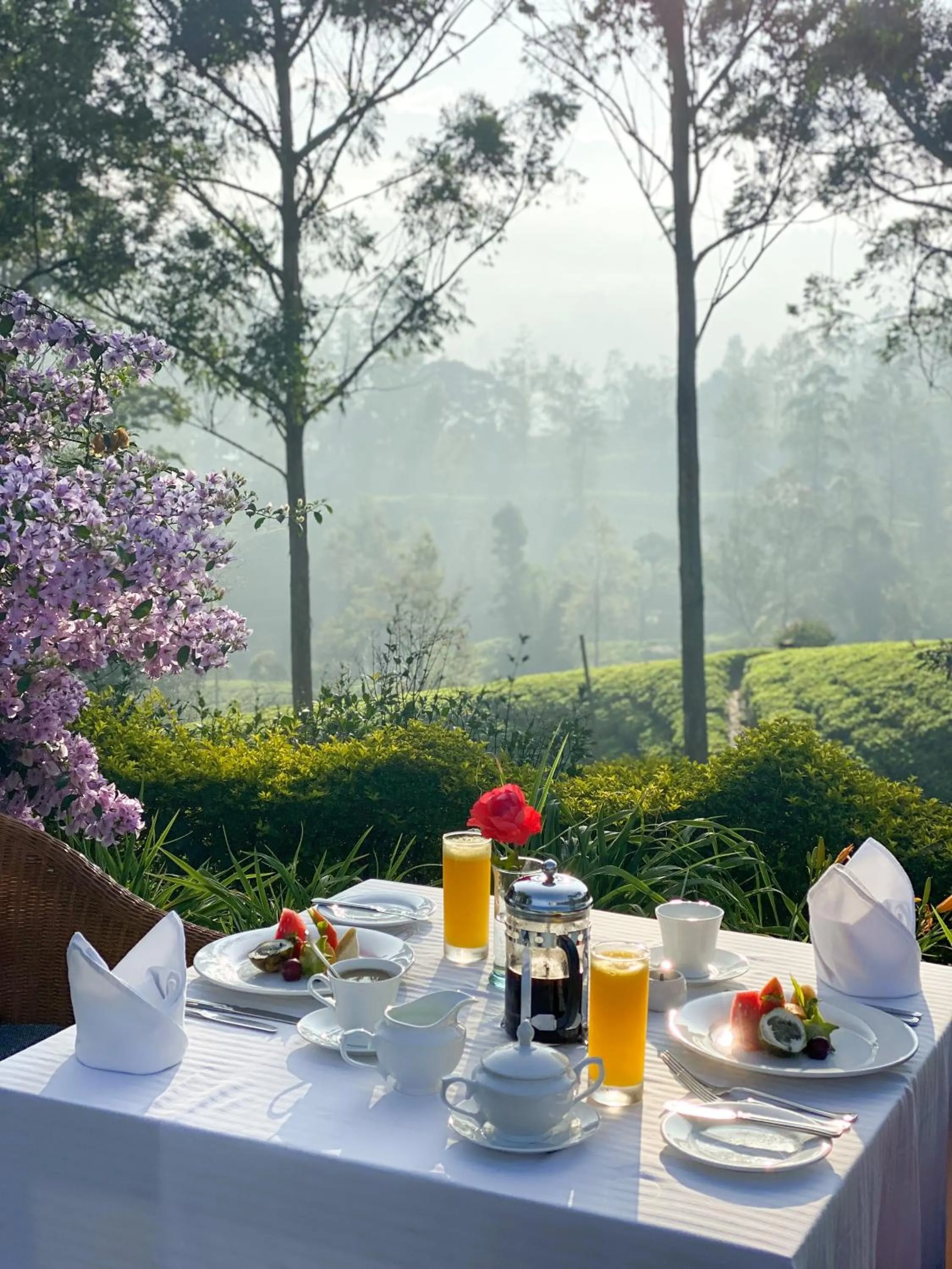 Food in Ceylon Tea Trails - Relais and Chateaux - All Inclusive