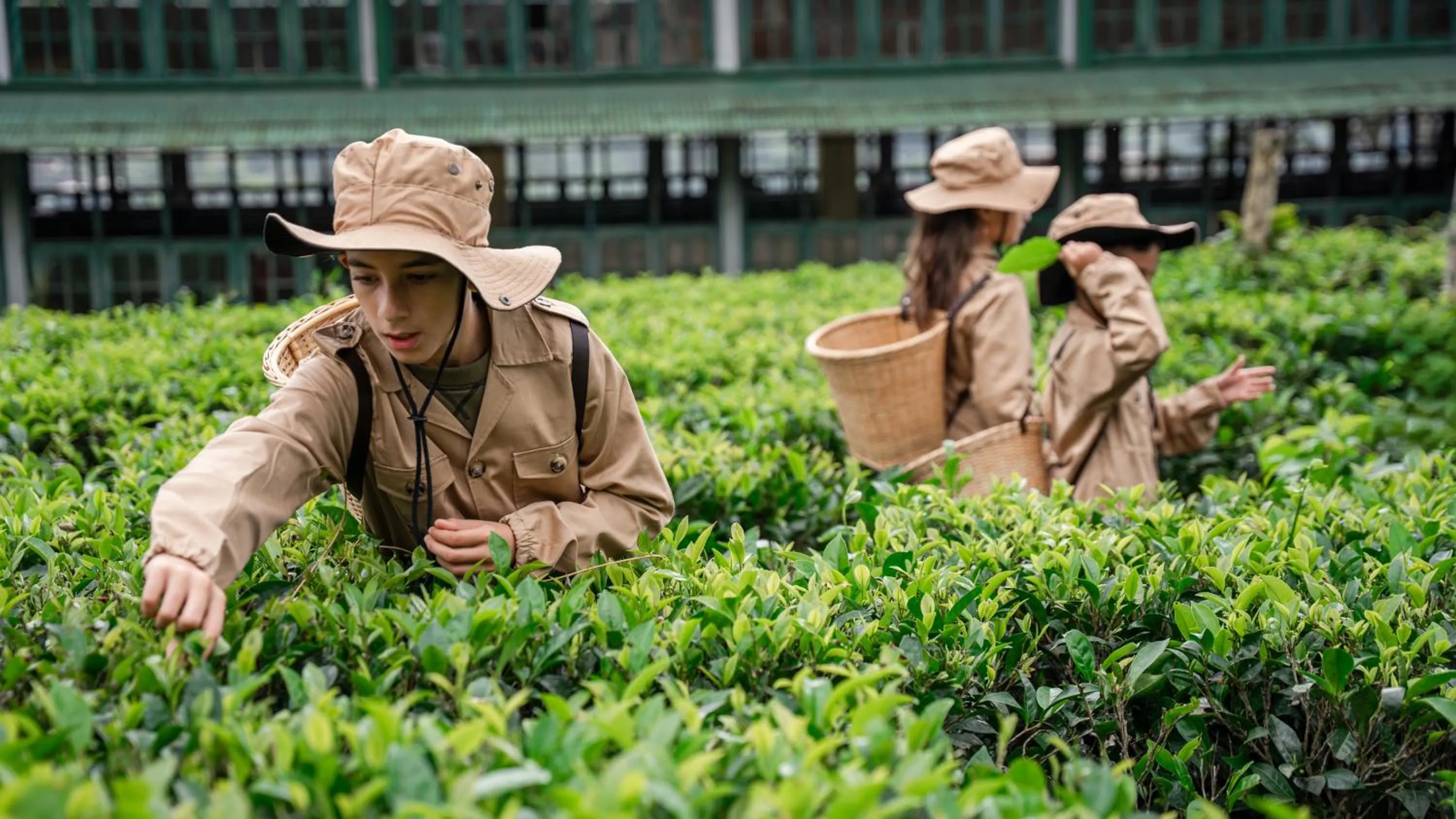 Activities in Ceylon Tea Trails - Relais and Chateaux - All Inclusive