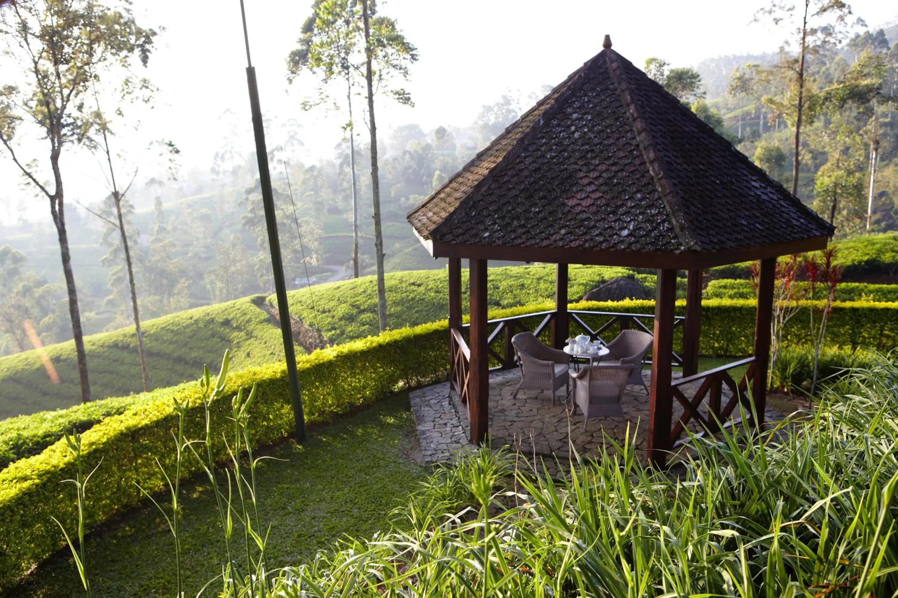 Garden in Ceylon Tea Trails - Relais and Chateaux - All Inclusive