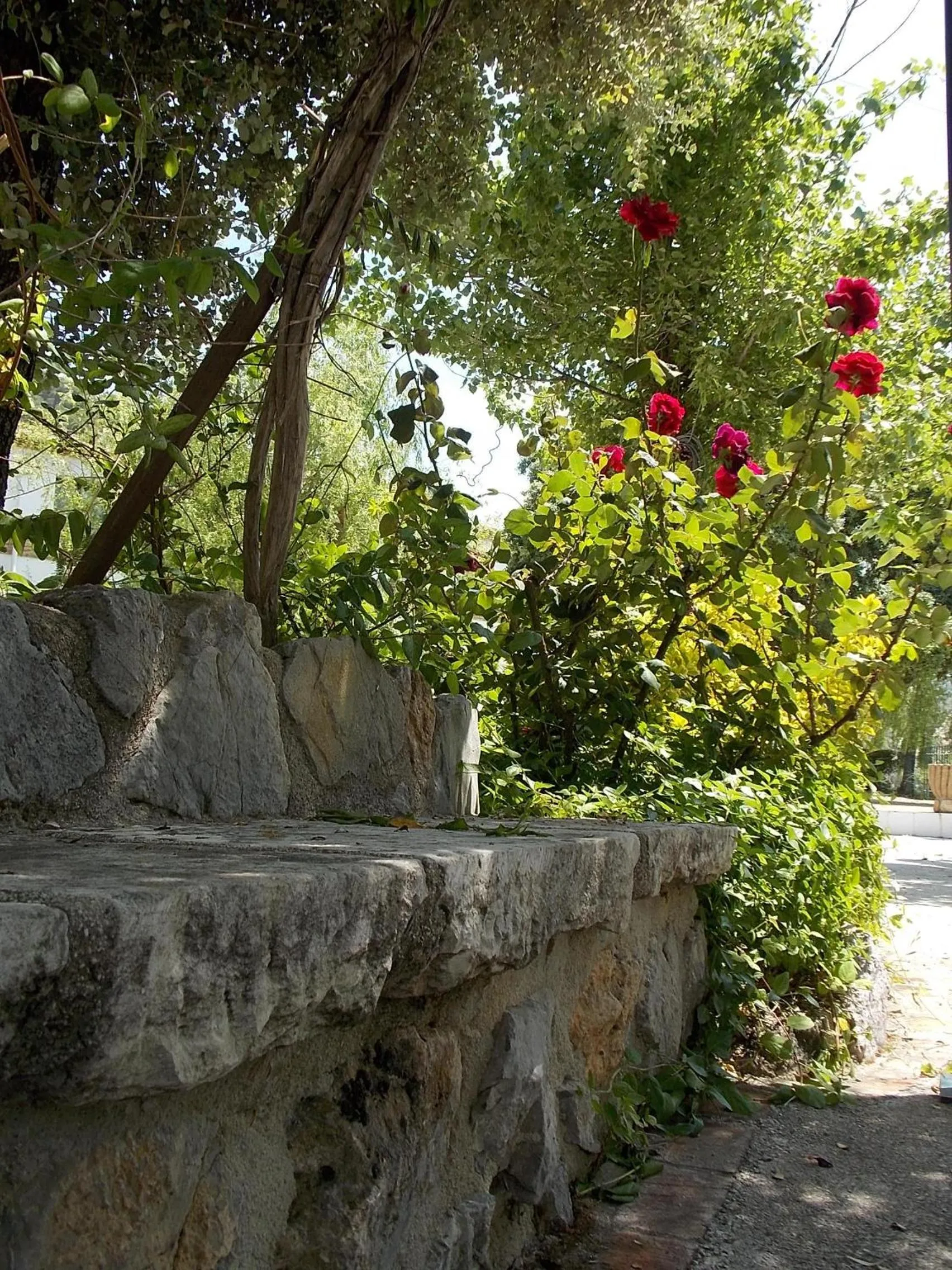 Facade/entrance in Hotel Rural Puerto Mágina