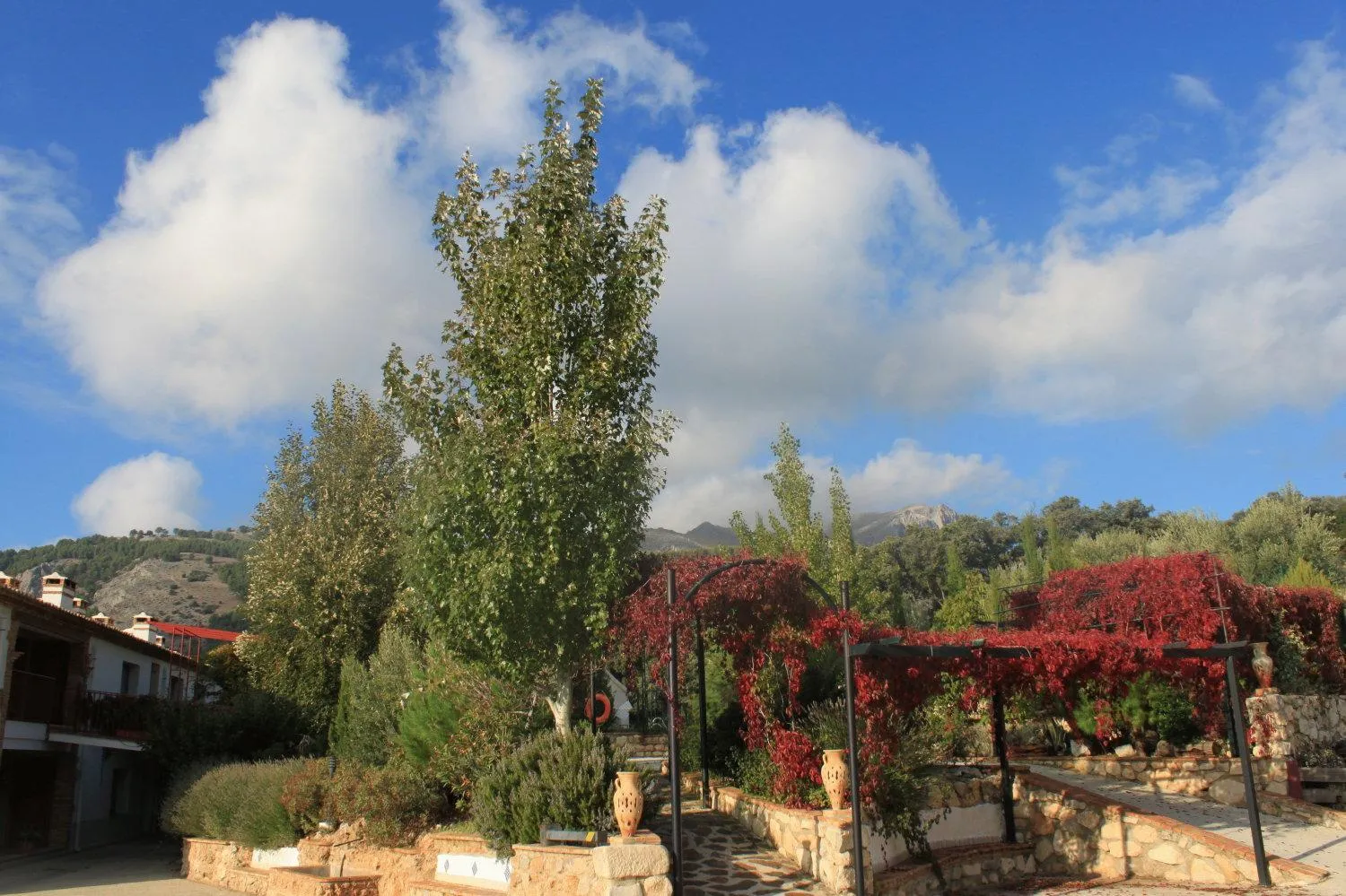 Lobby or reception in Hotel Rural Puerto Mágina