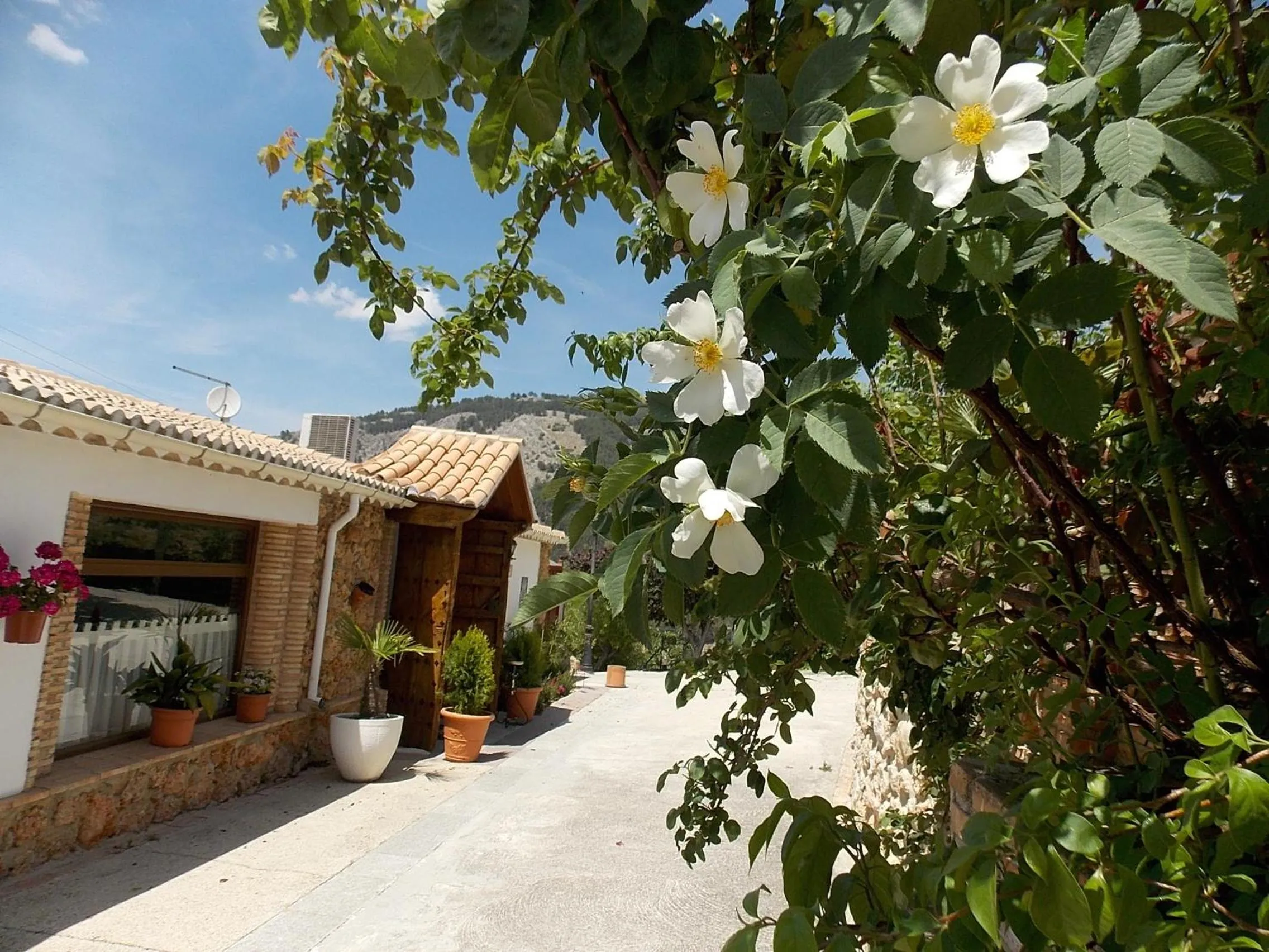 Lobby or reception in Hotel Rural Puerto Mágina