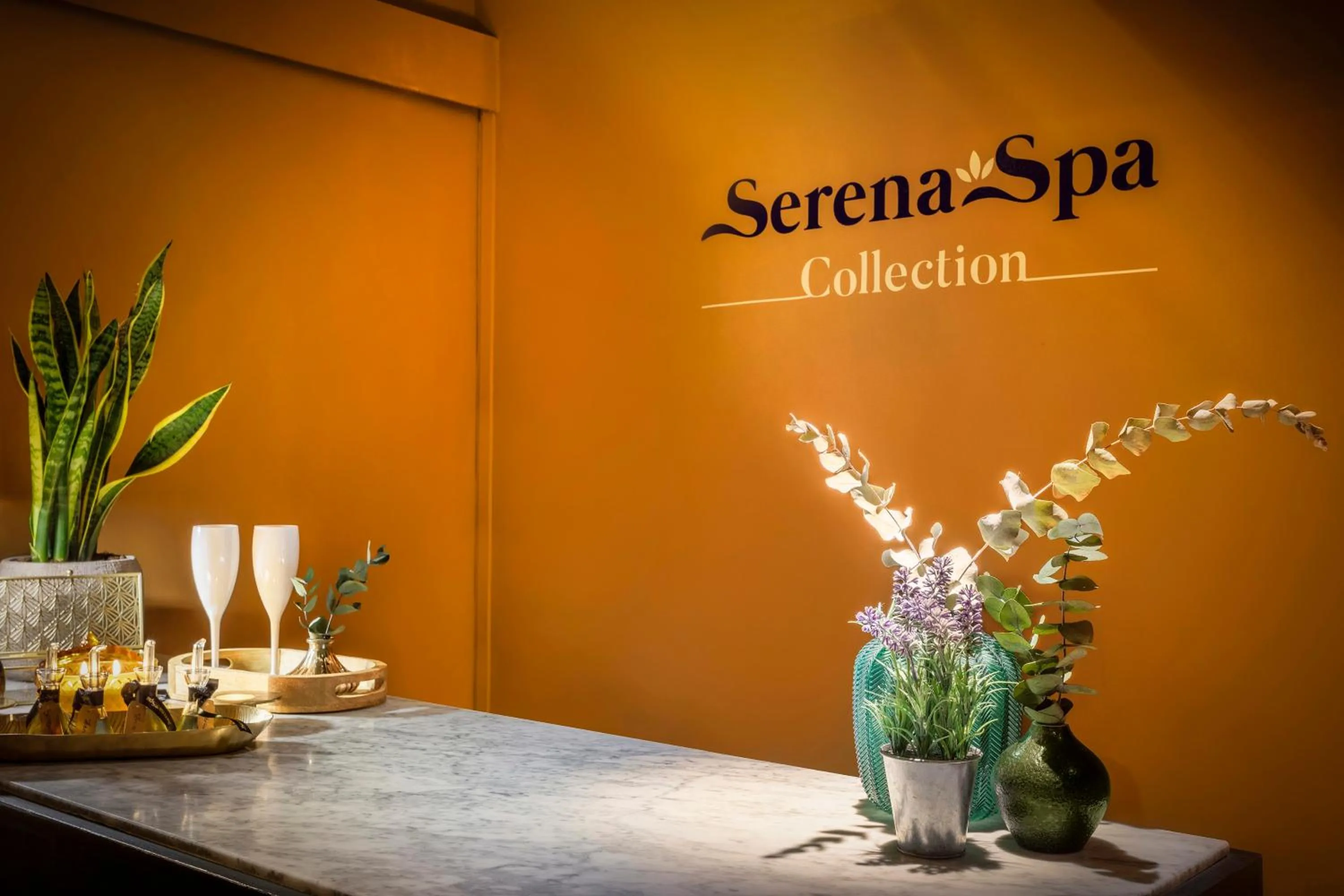 Spa and wellness centre/facilities in Melia Madrid Princesa