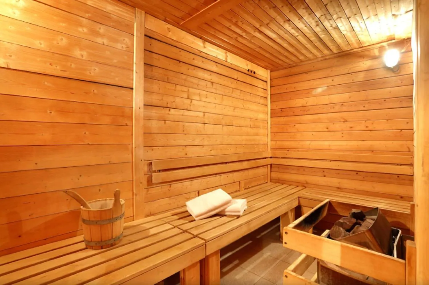 Sauna in Les Roches 1500