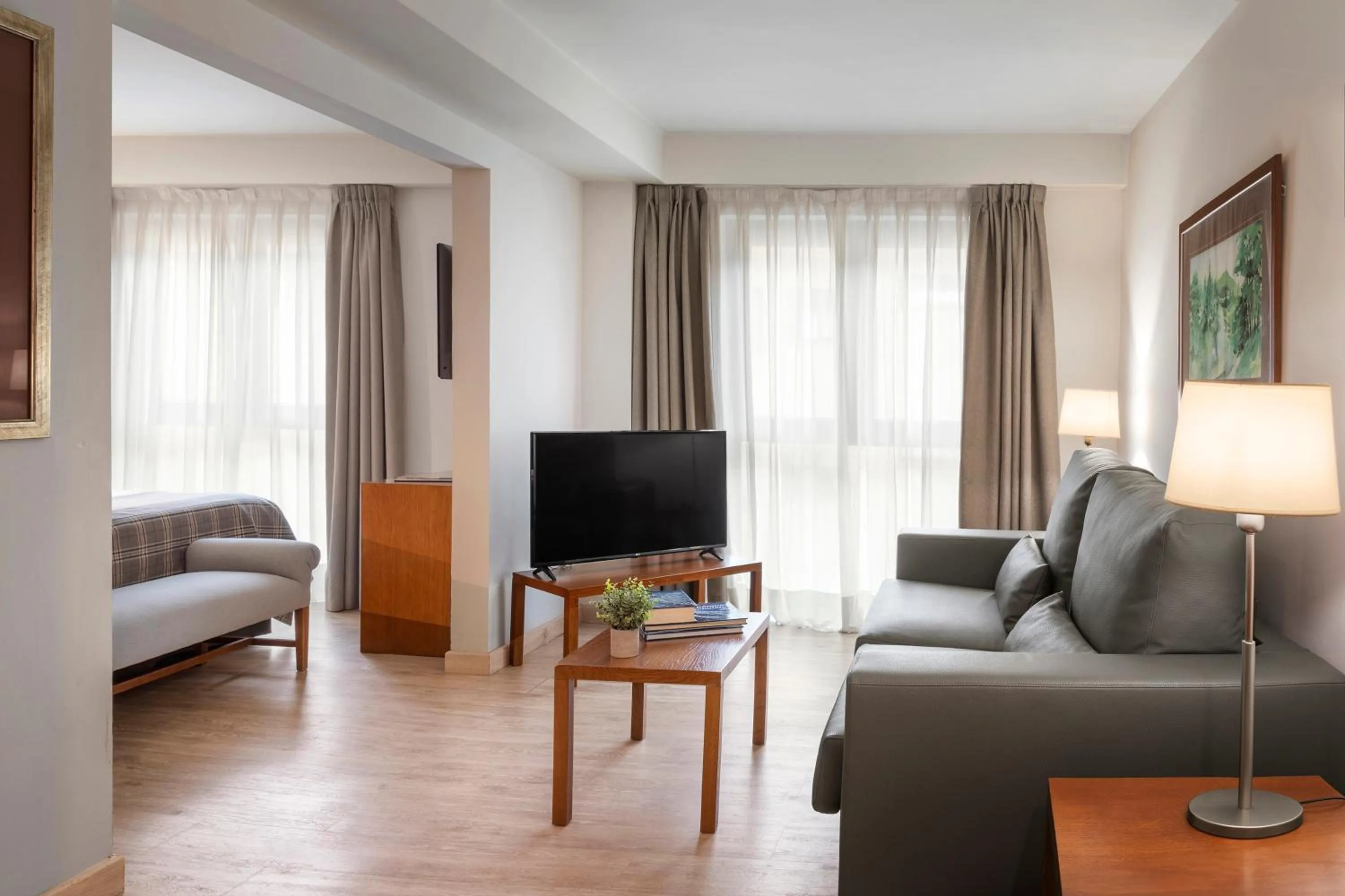 TV and multimedia in Hotel Vielha Val d'Aran, Affiliated by Meliá