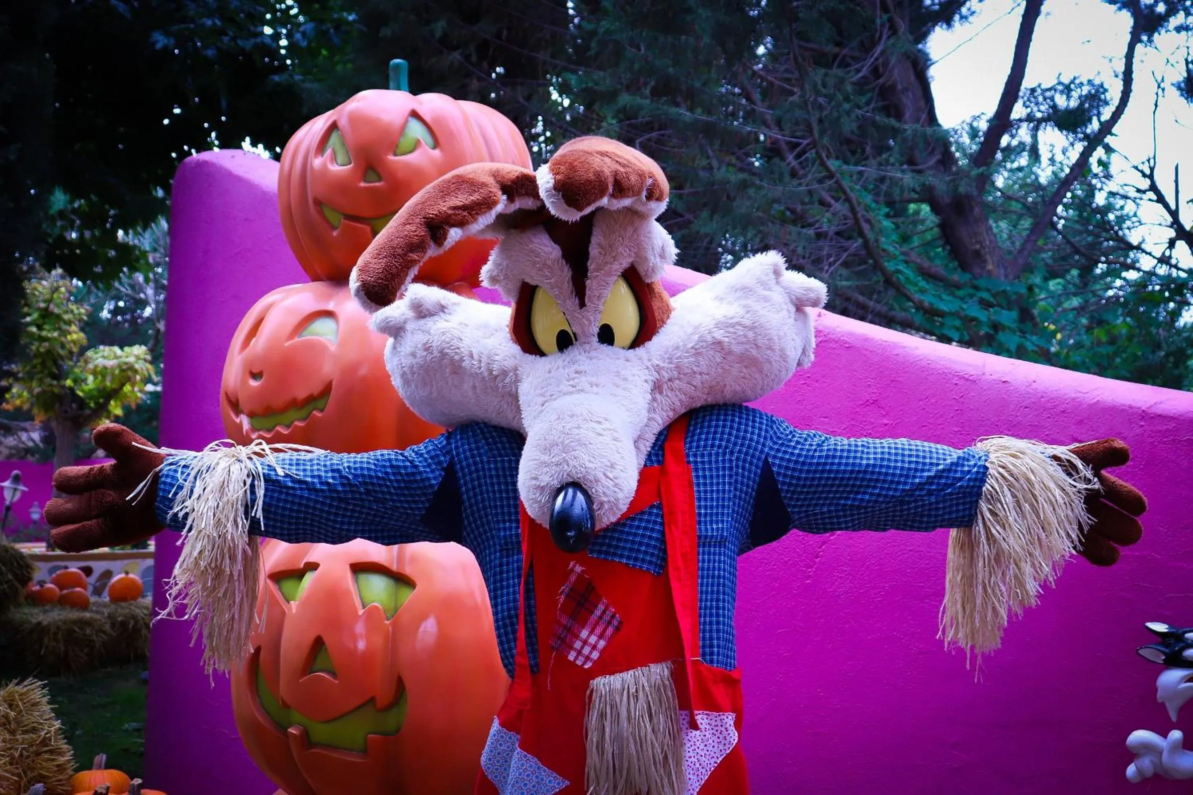 Entertainment in Hotel Holiday Inn Express Madrid-Rivas by IHG