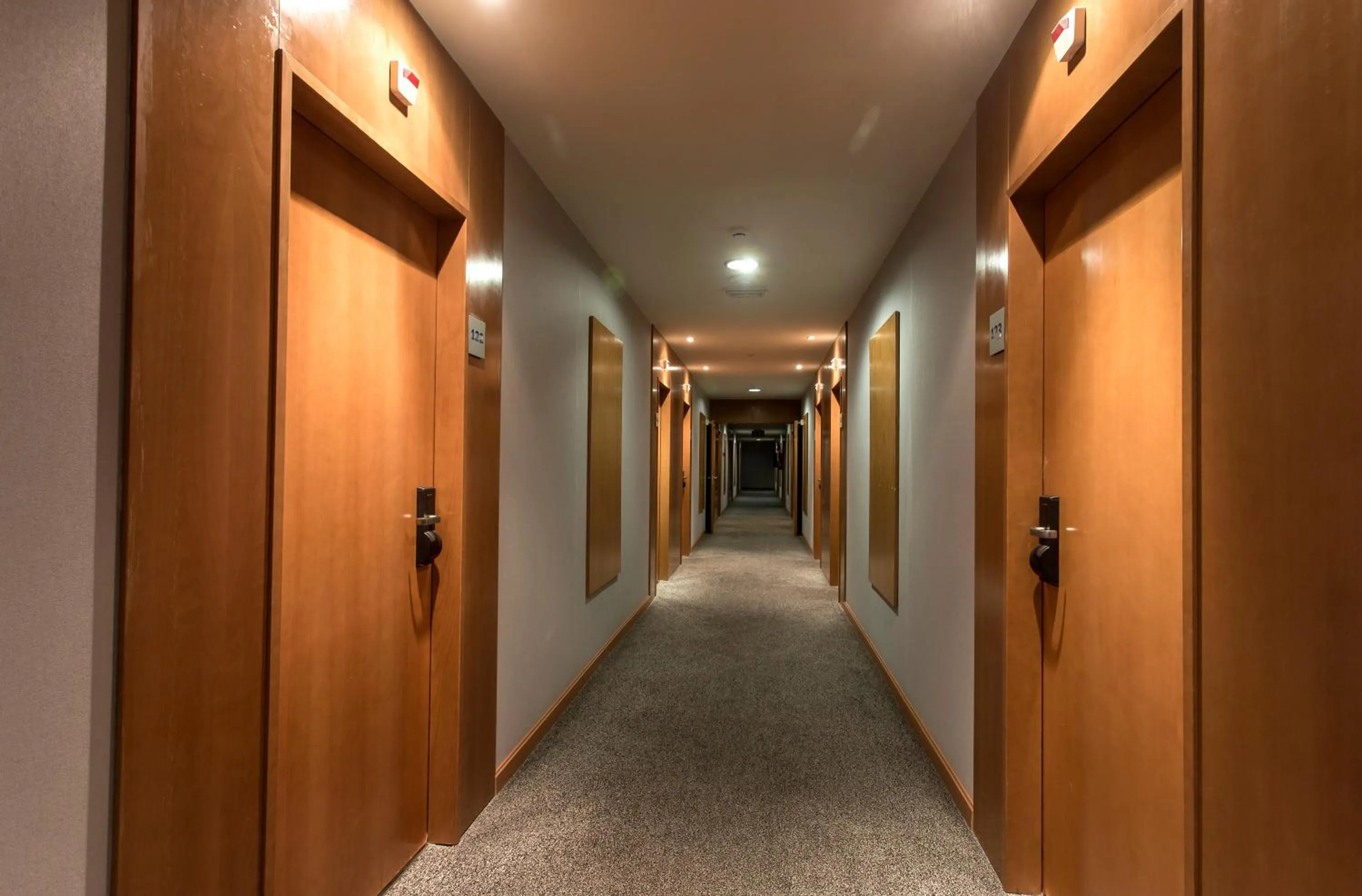 Other in Hotel AG Express Elche