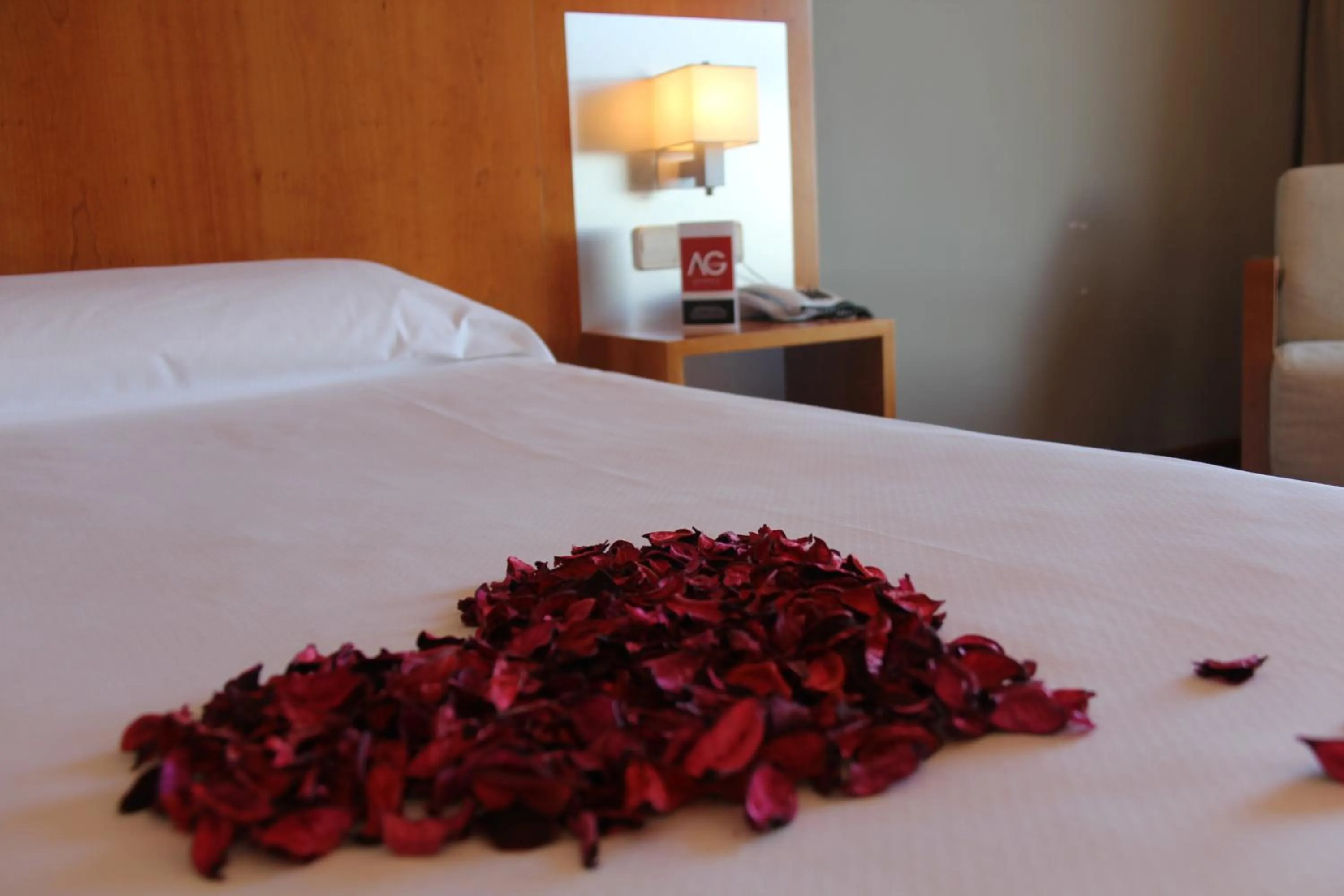 Bed in Hotel AG Express Elche