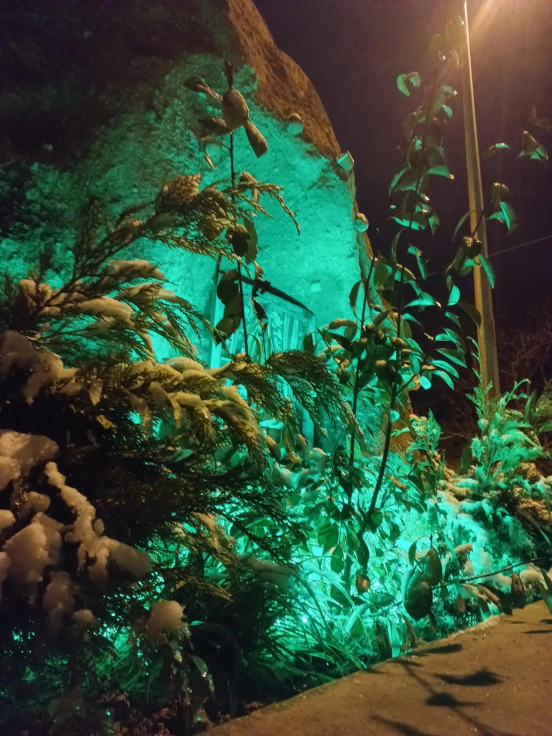 Garden in Shiraz Cave Cappadocia