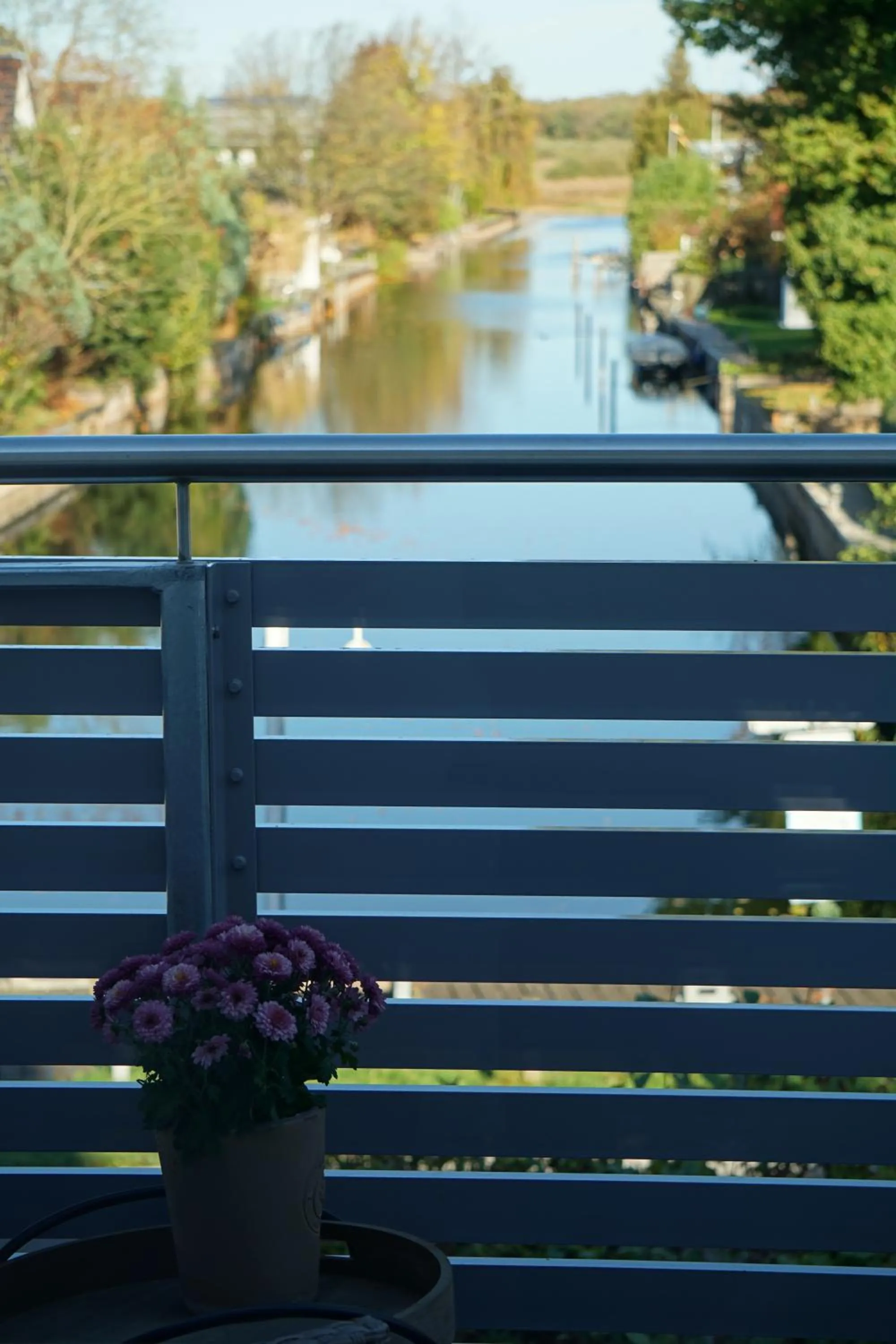 View (from property/room) in Landhotel Strandallee