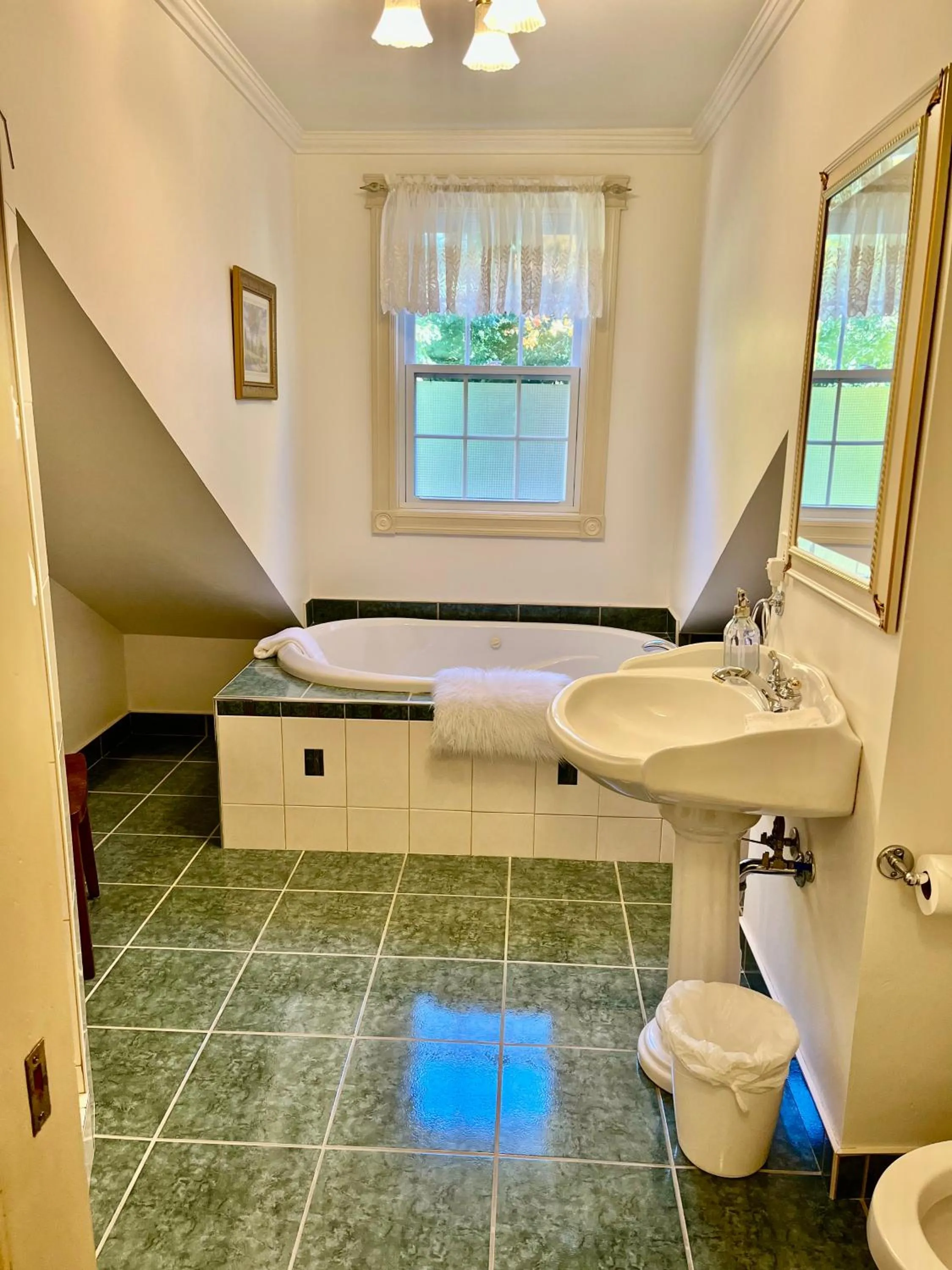 Bath in Belle View Manor Inn