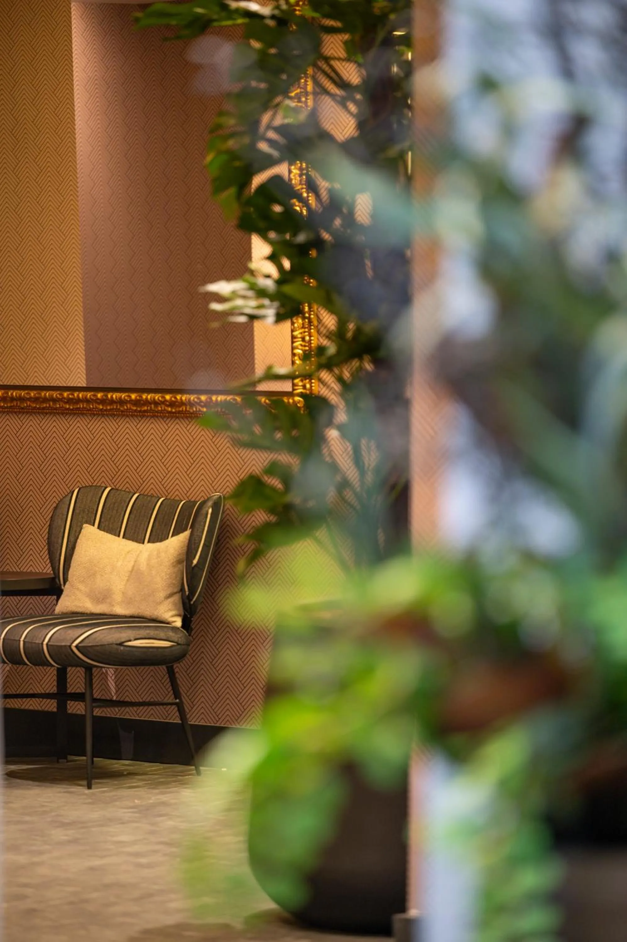 Area and facilities in Hesperia Barcelona Barri Gòtic