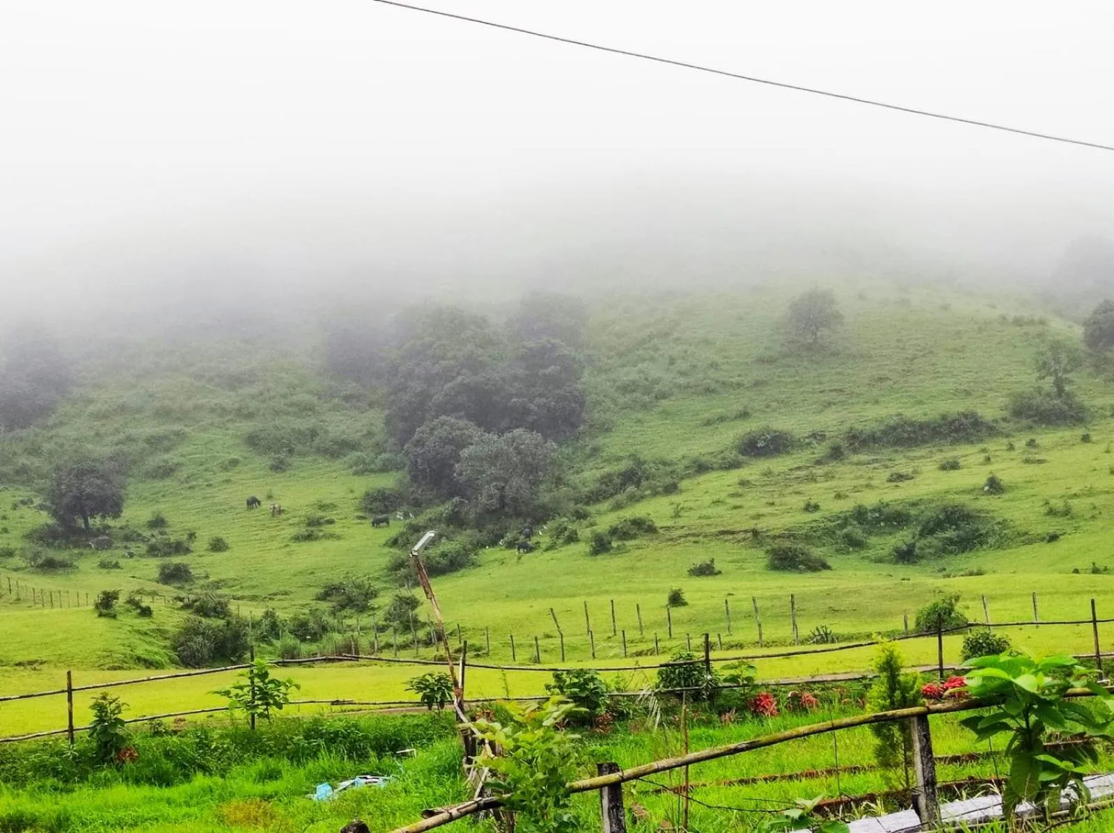 Natural landscape in Club Shandilya- Cheerful 3BR villa in Nature Lap