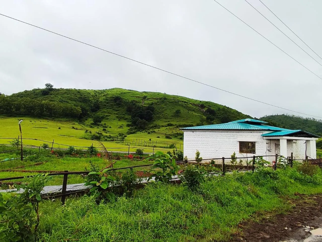 Property building in Club Shandilya- Cheerful 3BR villa in Nature Lap