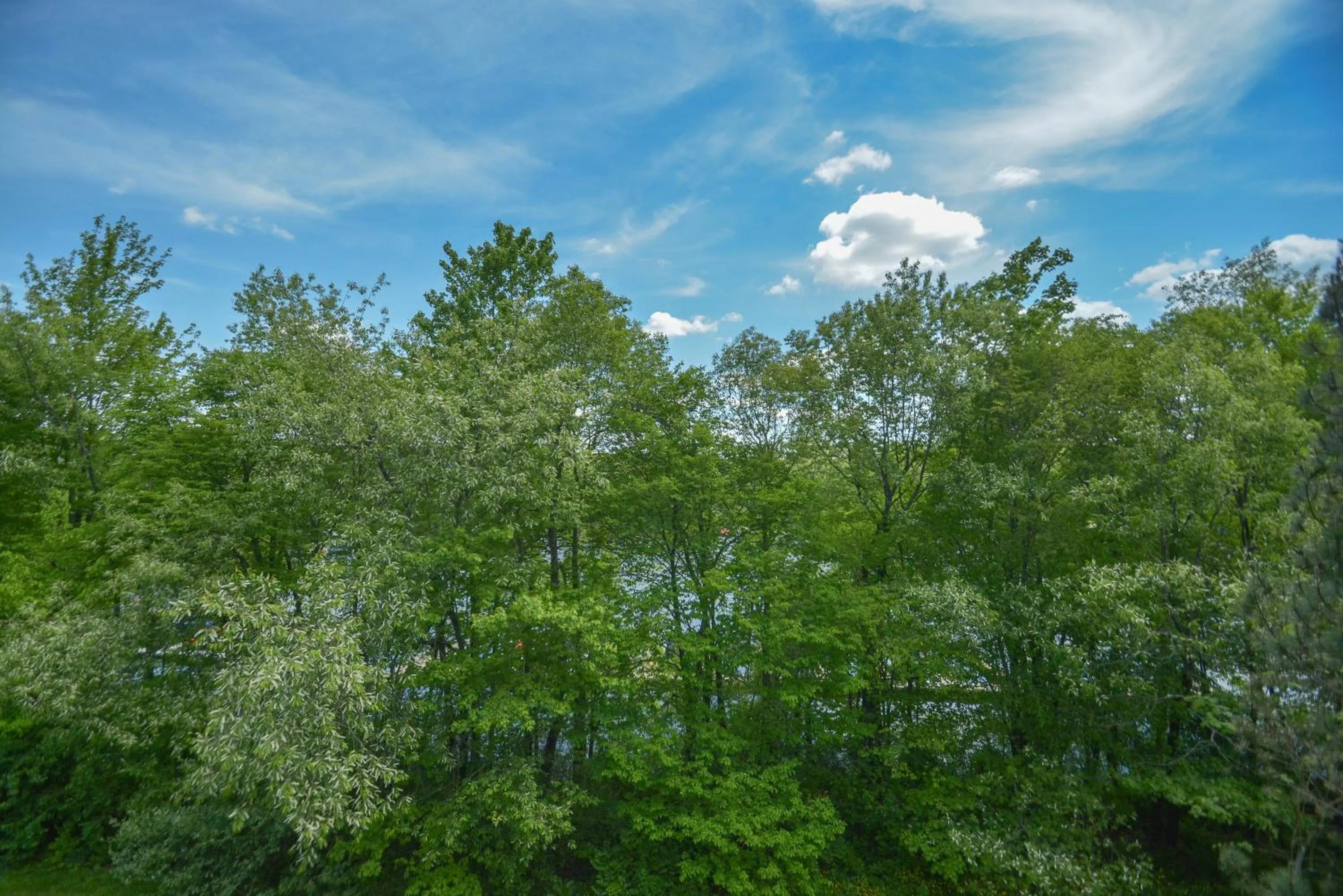 Property building in Duck Cove at Wisp