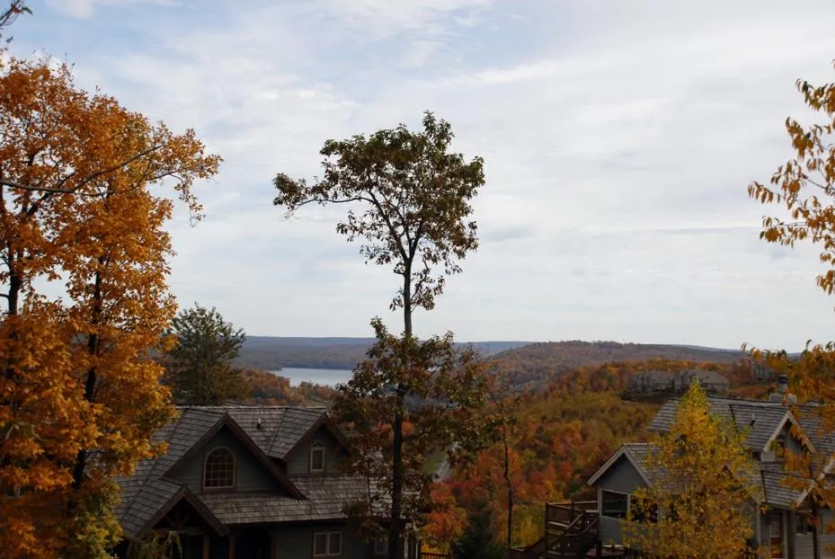 Property building in Castle in the Sky