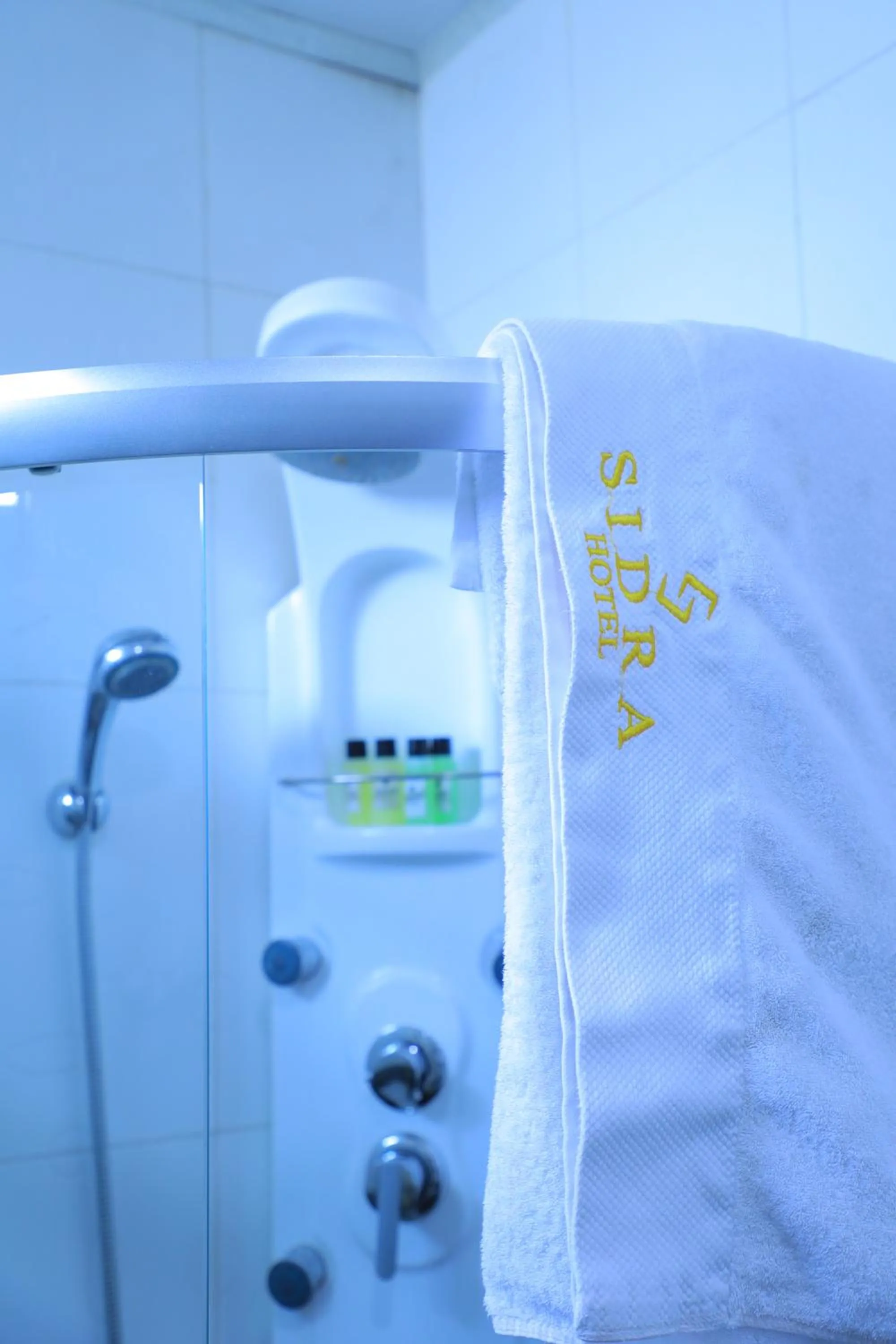 towels, Bed in Sidra International Hotel