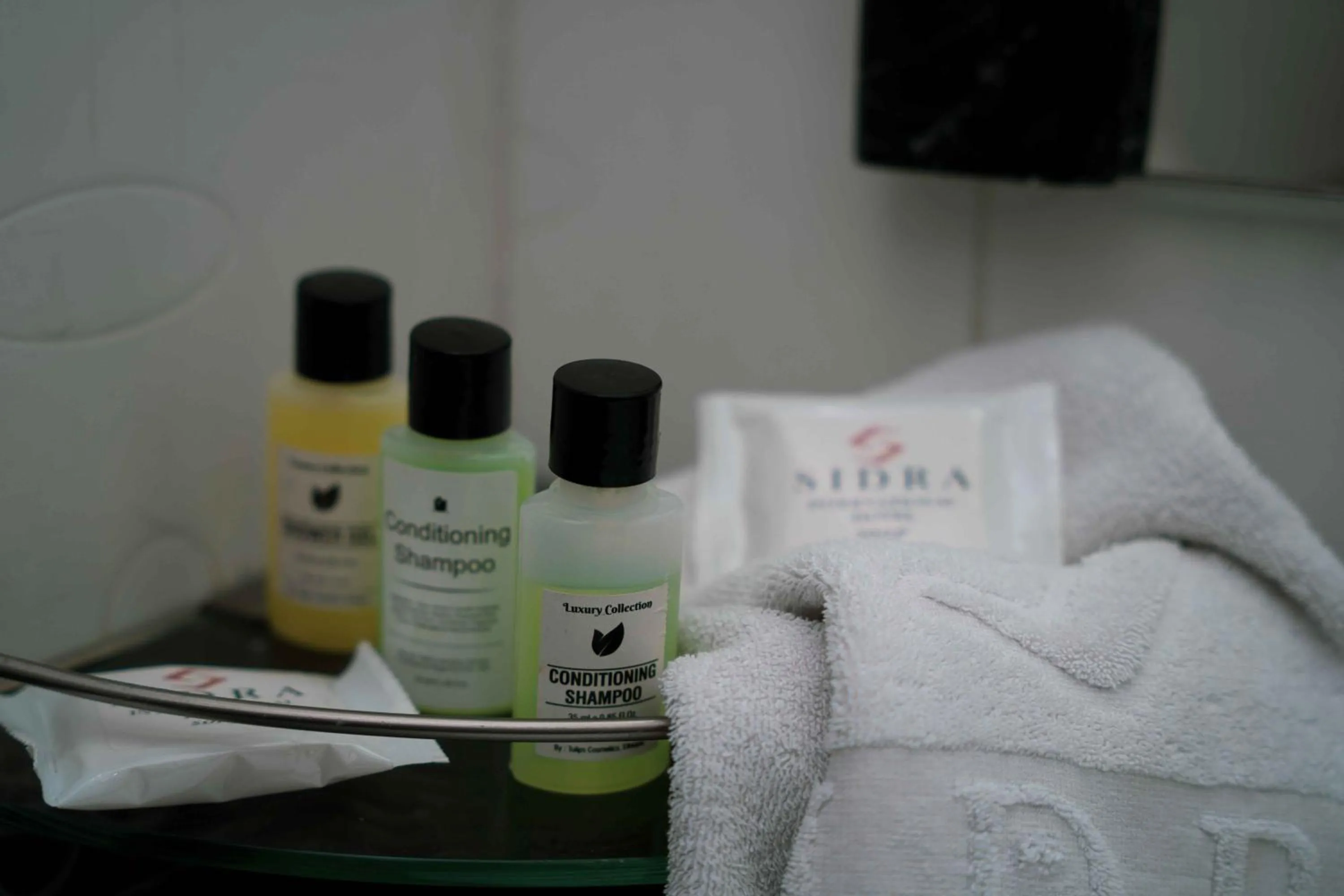 Sidra International Hotel