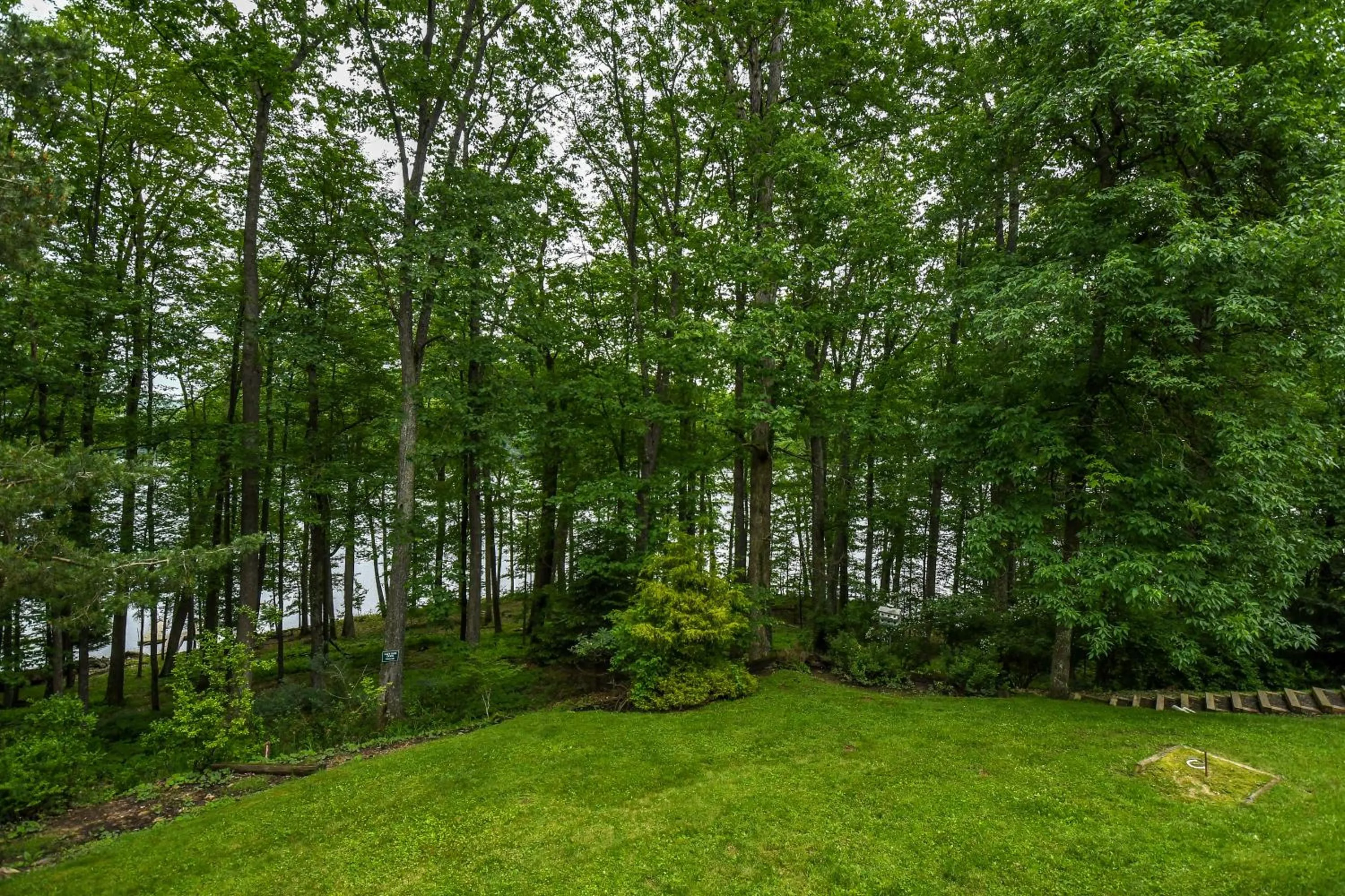 Property building in Lazy Days