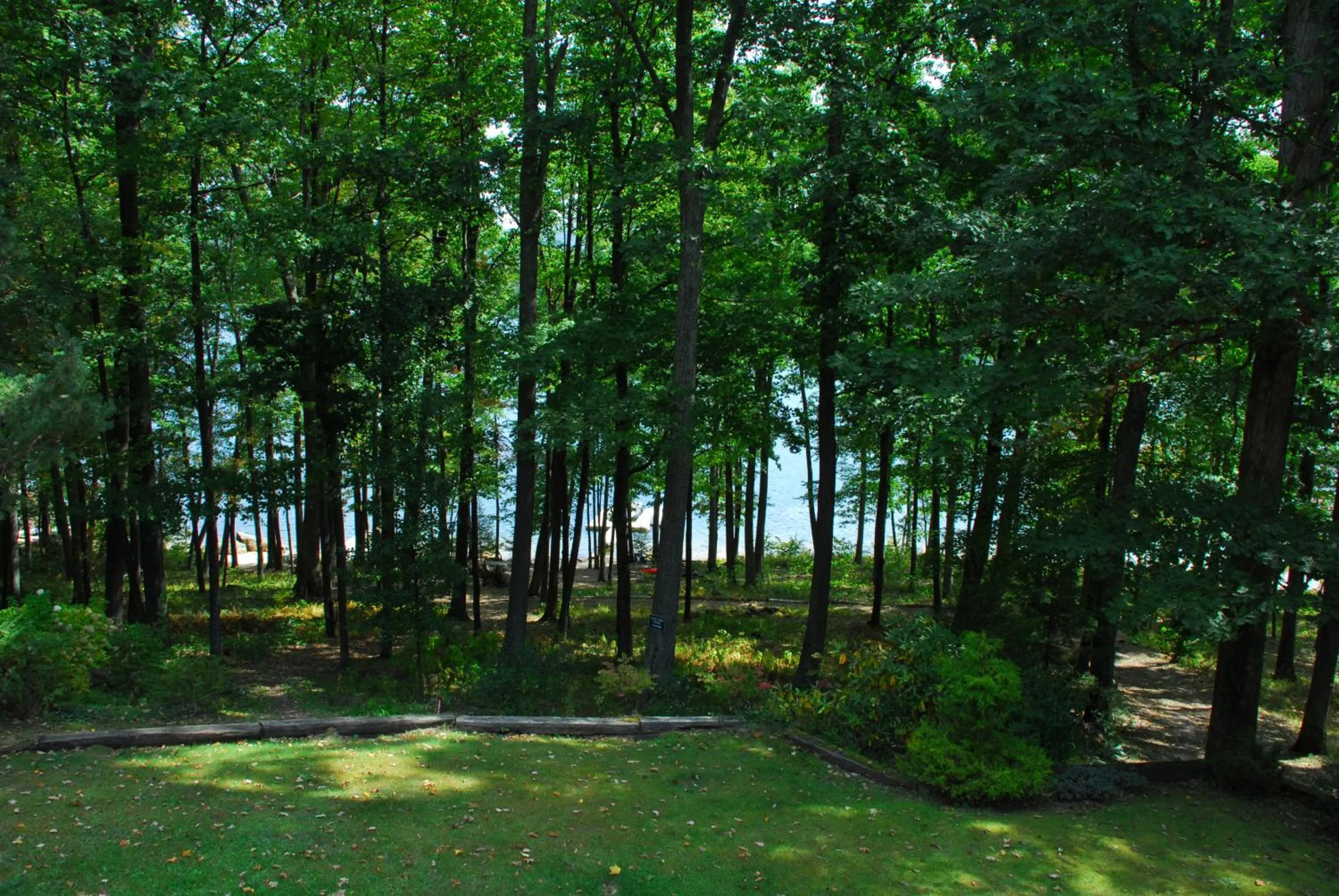 Property building in Lazy Days