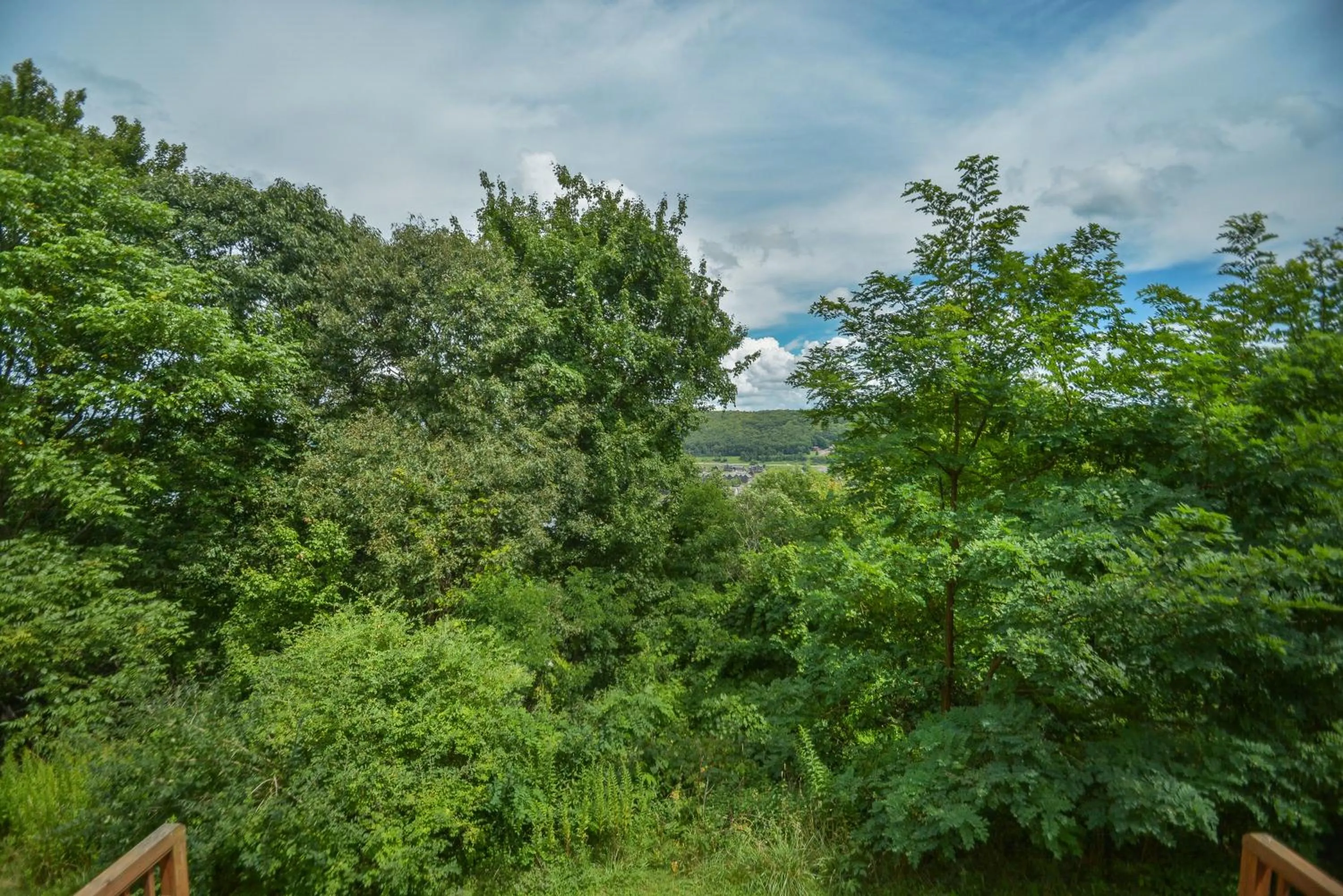 Villages of Wisp 70 Bright Passage