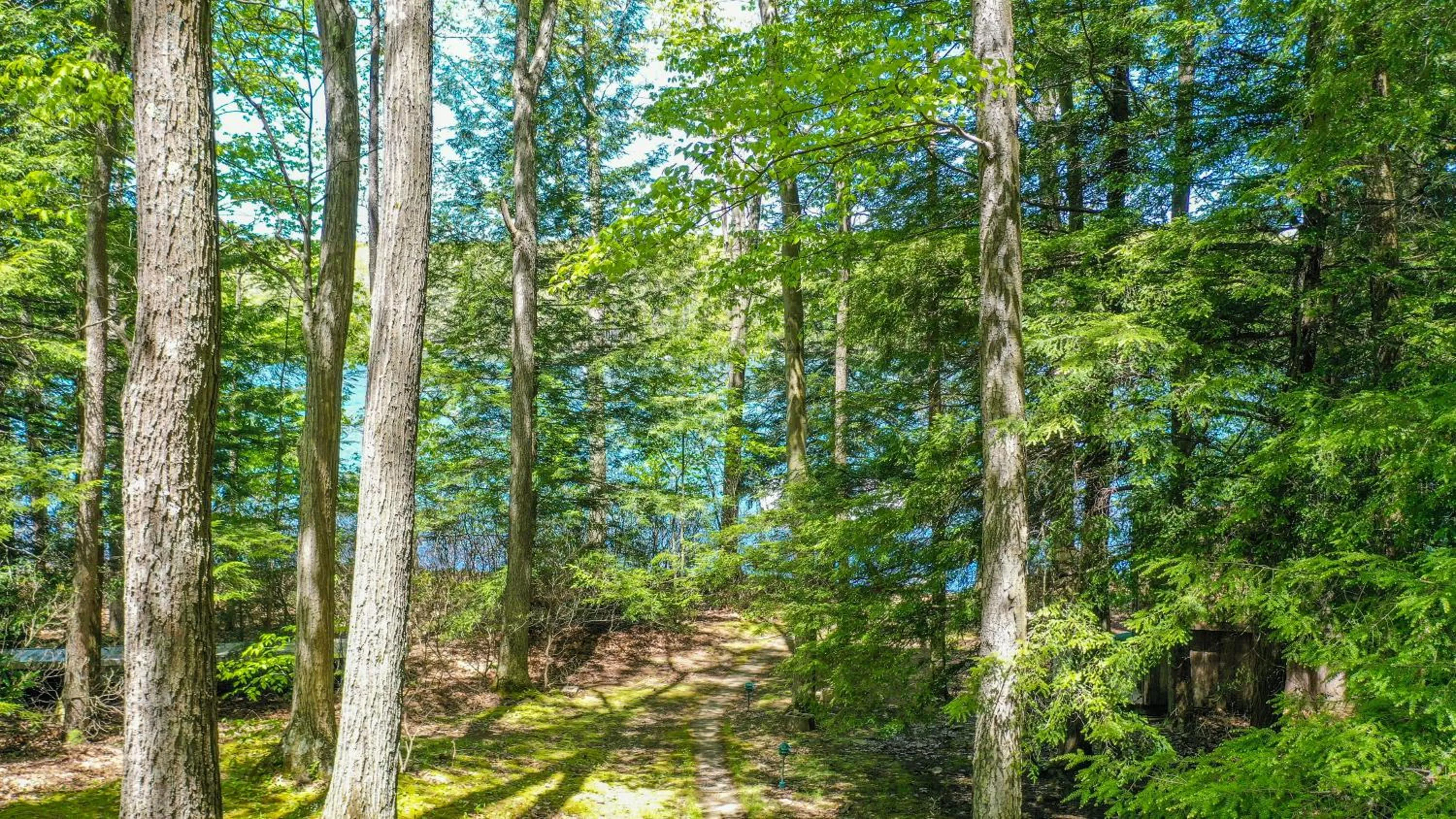 Property building in Putter Place