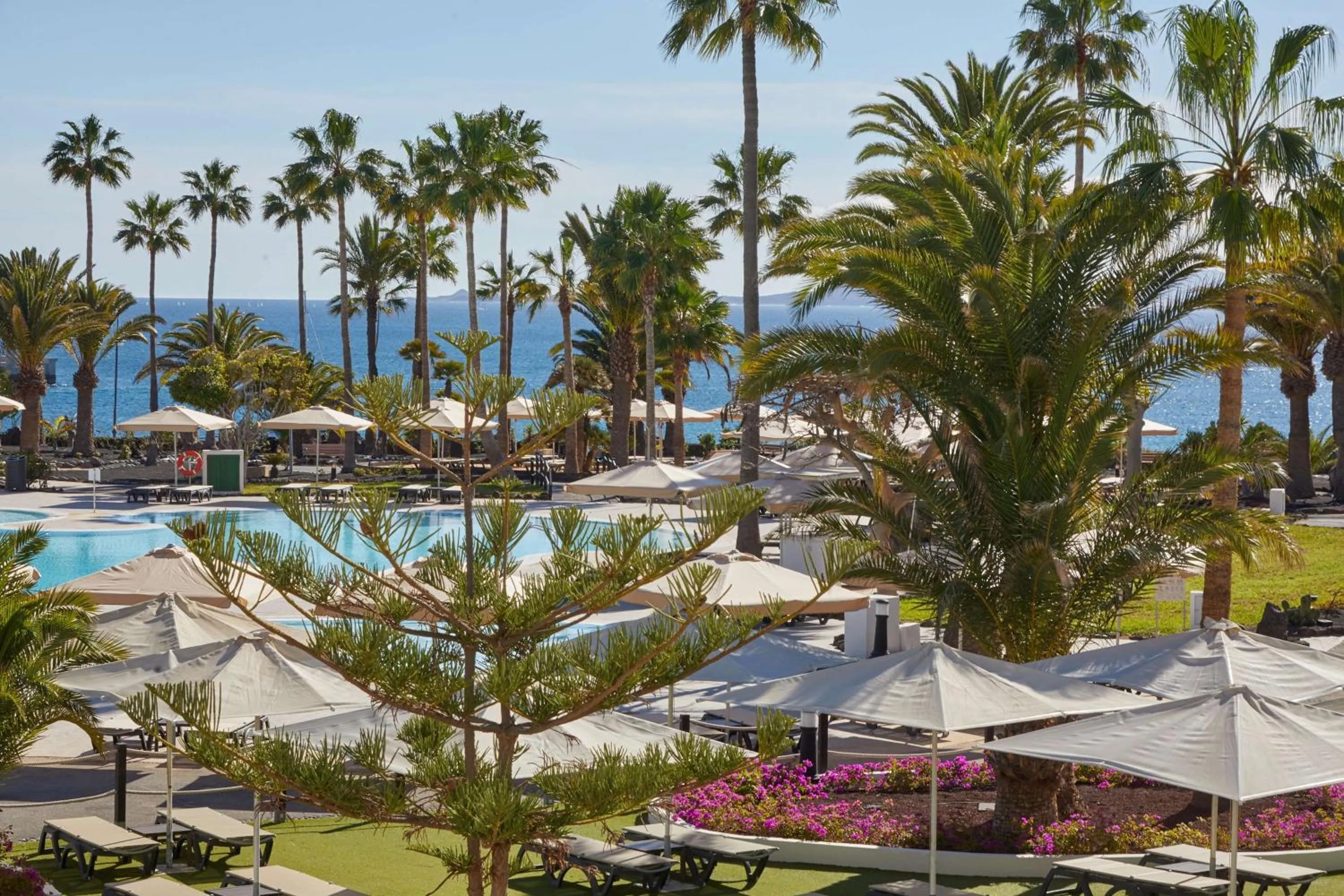 Swimming pool in Dreams Lanzarote Playa Dorada Resort & Spa