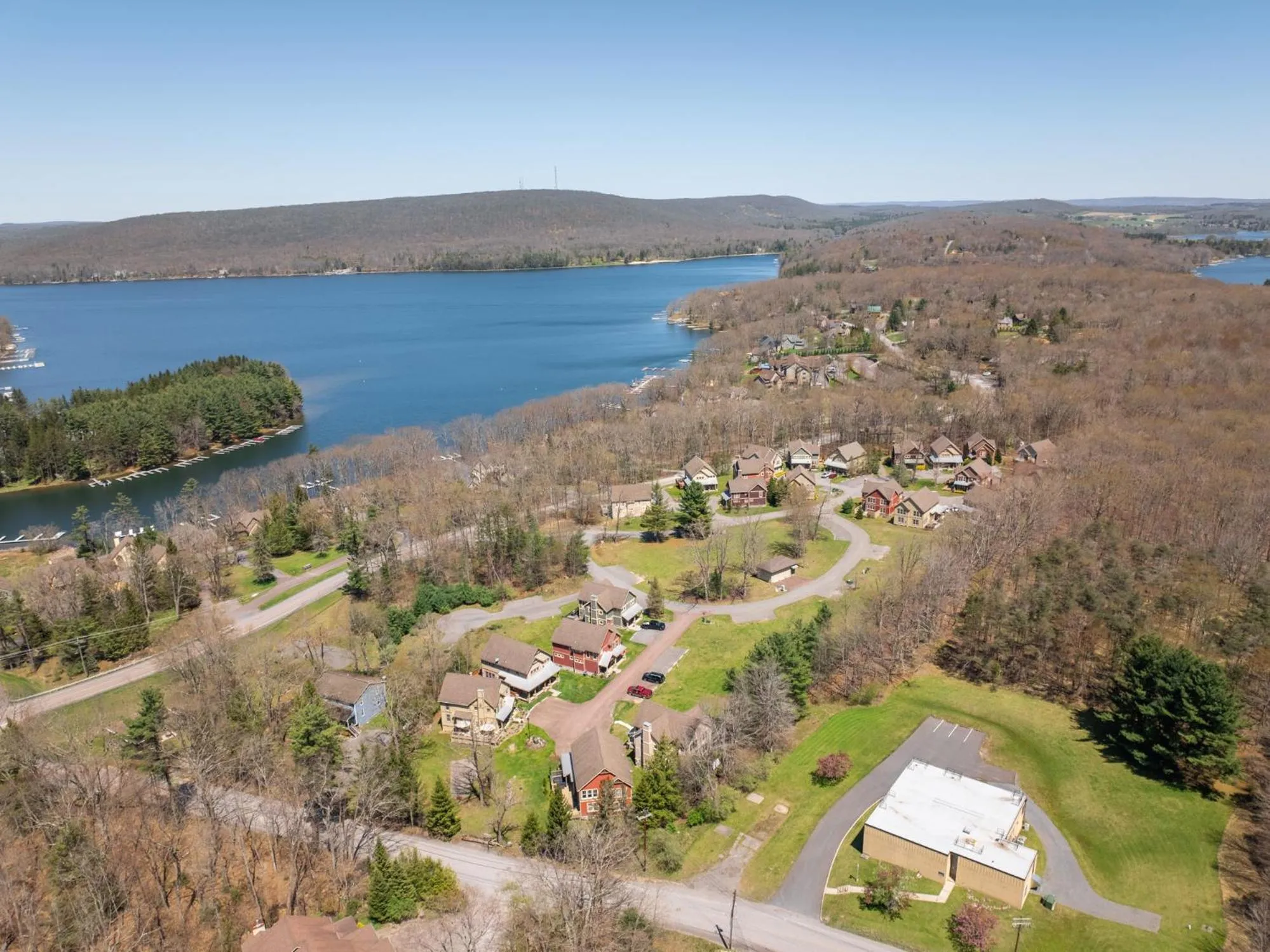 Some Kind of Wonderful