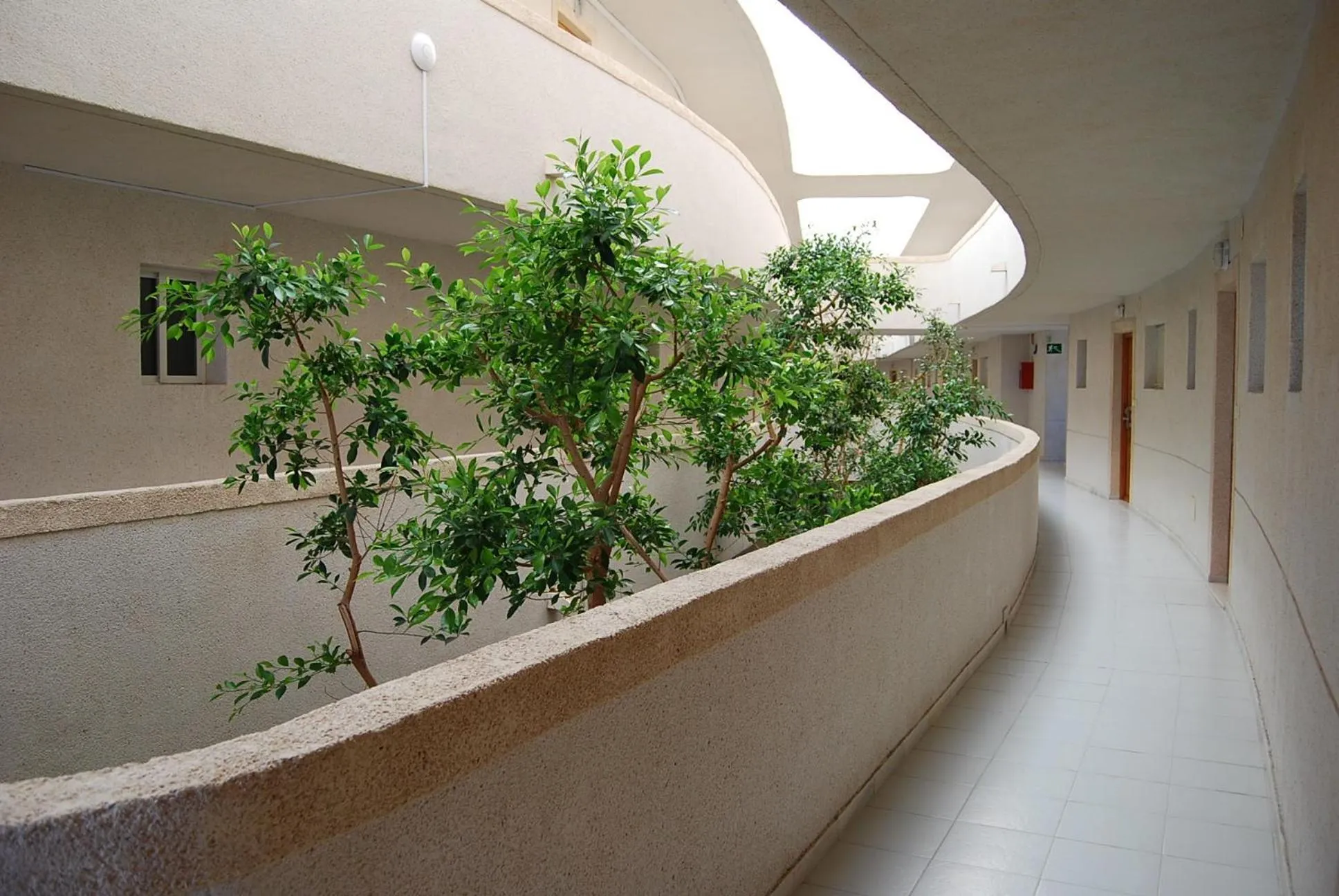 Decorative detail in Palmera Beach