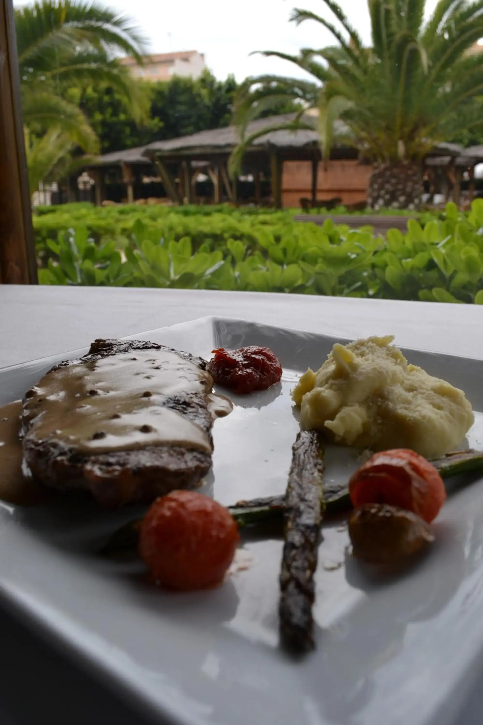 Food and drinks in AGH Canet Food and drinks in AGH Canet