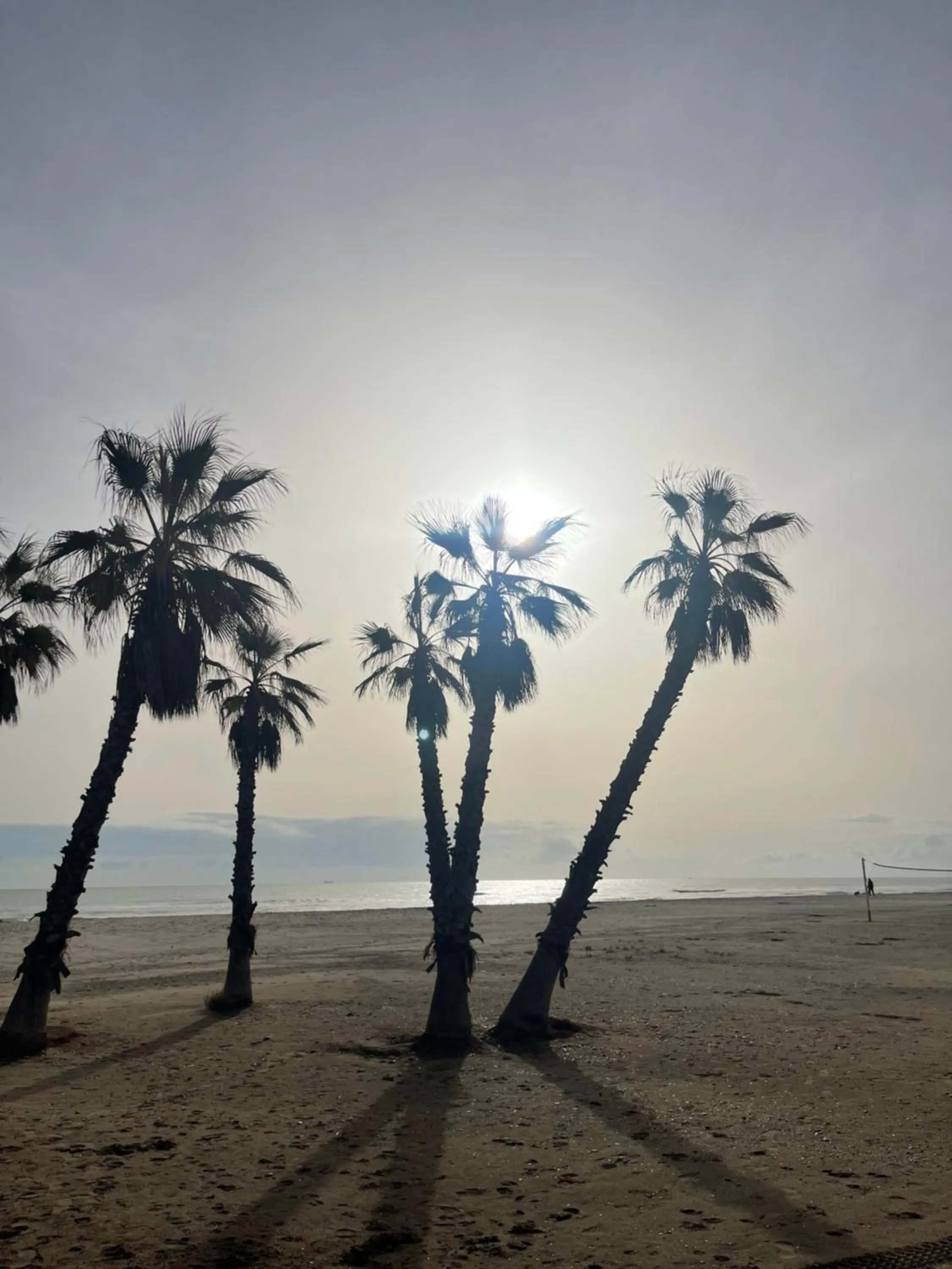 Natural landscape in AGH Canet