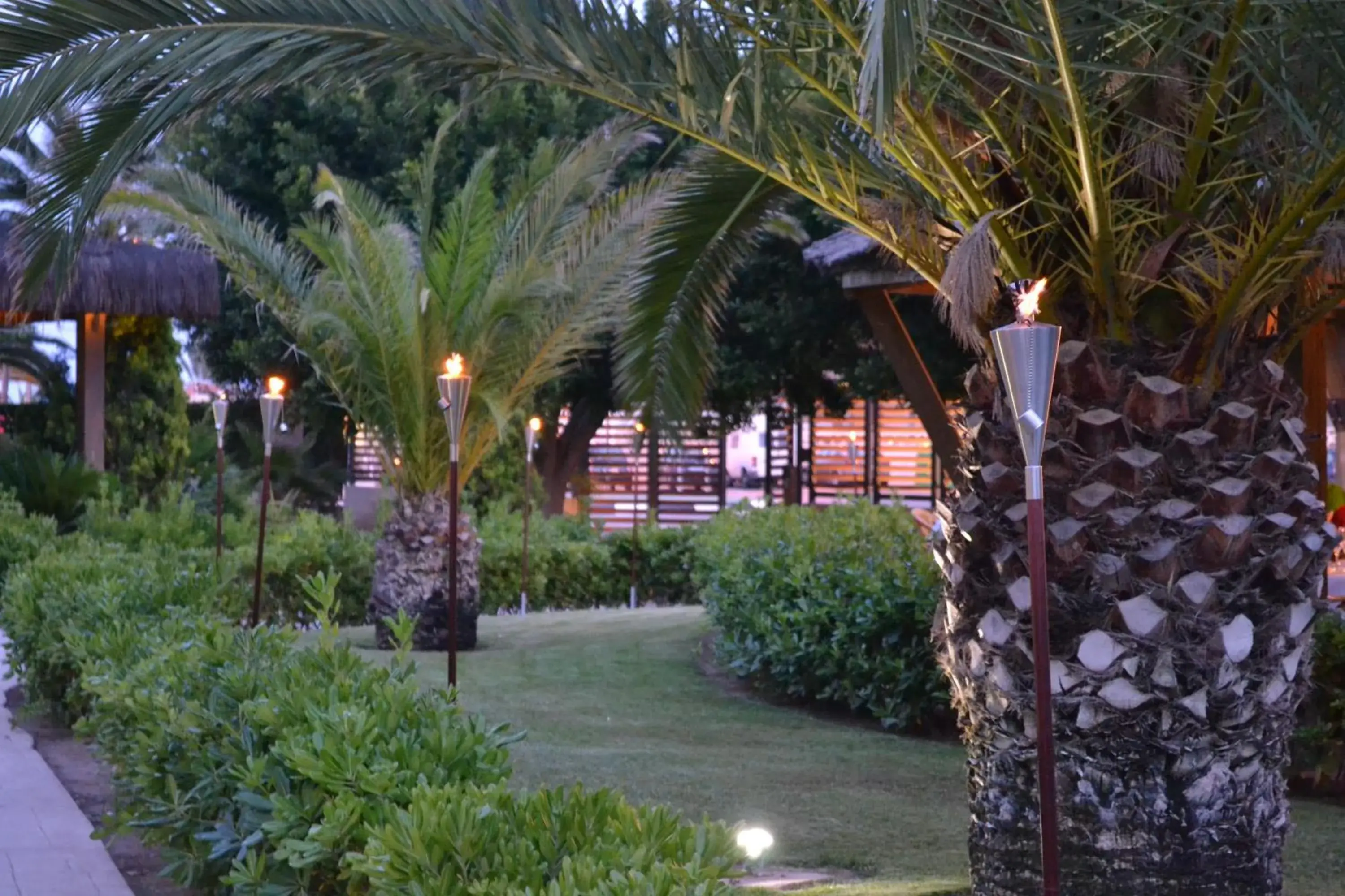 Garden in AGH Canet Garden in AGH Canet