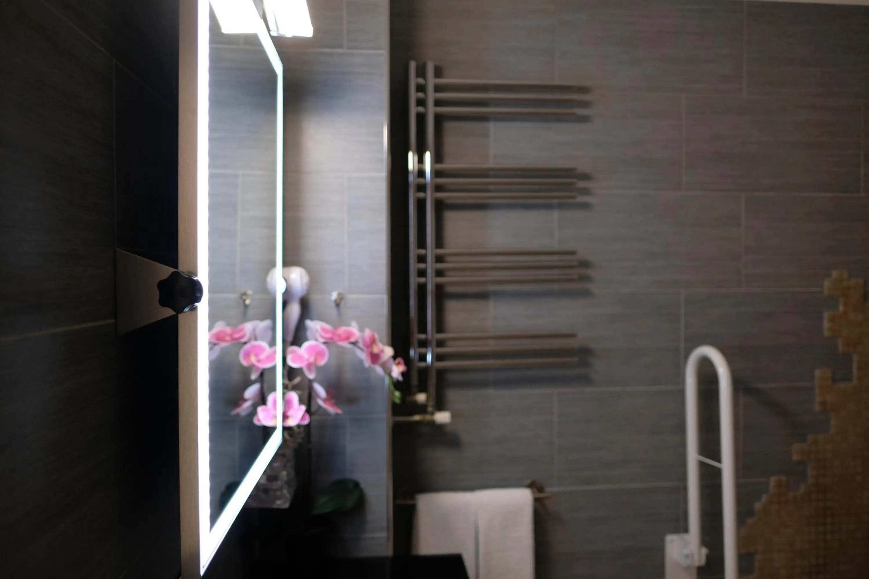 Bathroom in LeNotti Verona