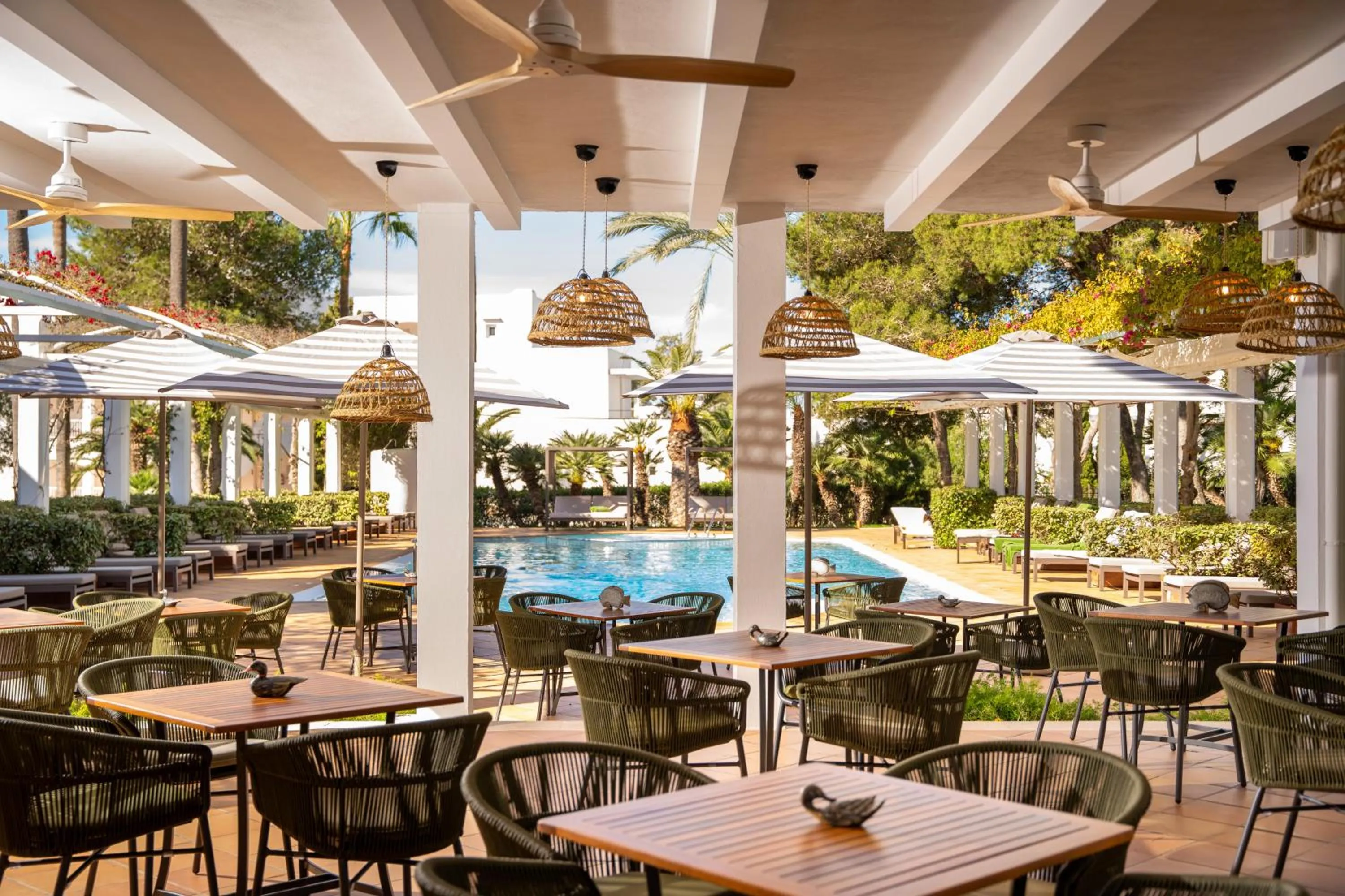 Restaurant/places to eat in Melia Cala d'Or Boutique Hotel