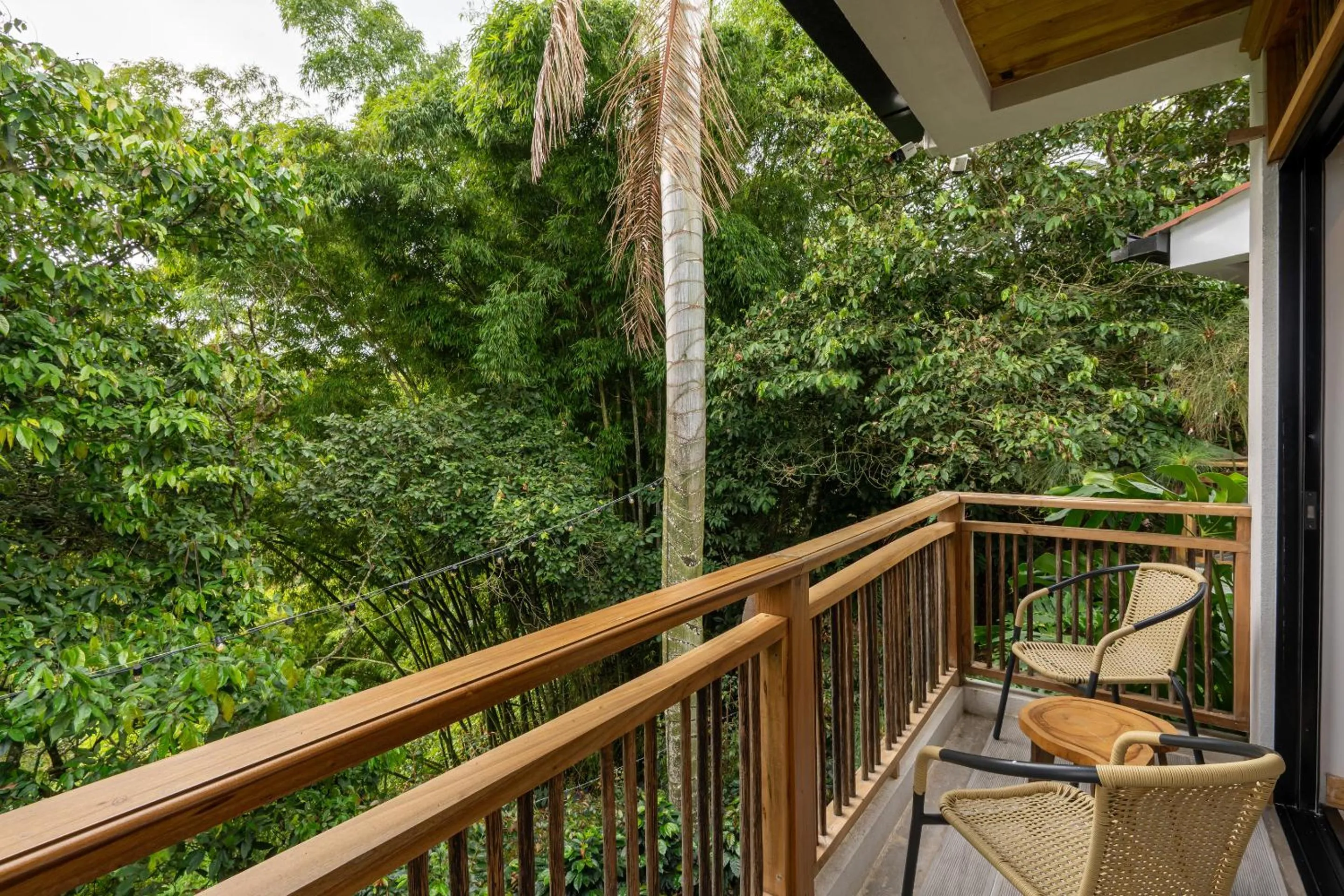 View (from property/room) in Panorama Salento by DOT Boutique