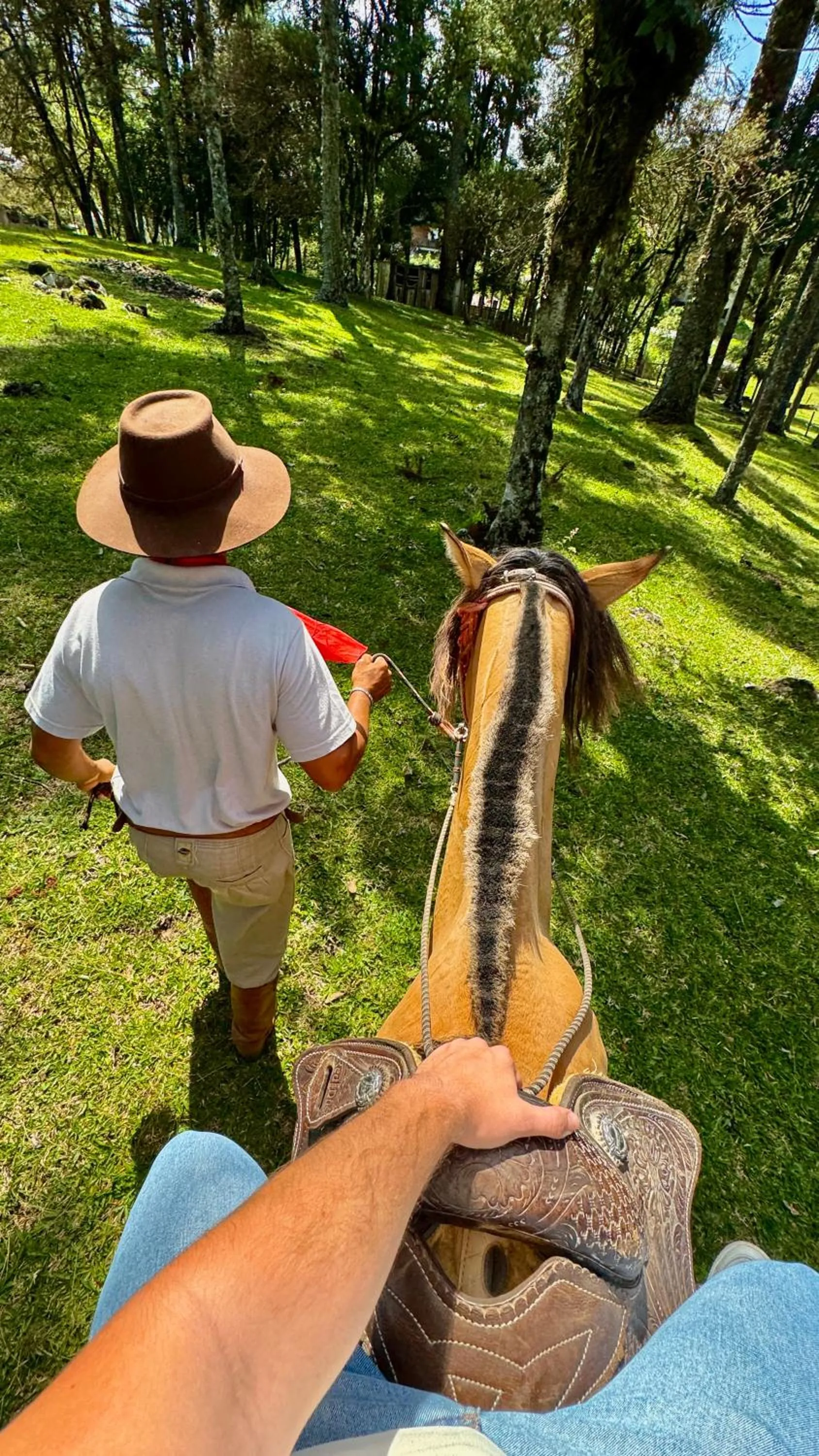 Horse-riding in WoodStone Hotel Fazenda