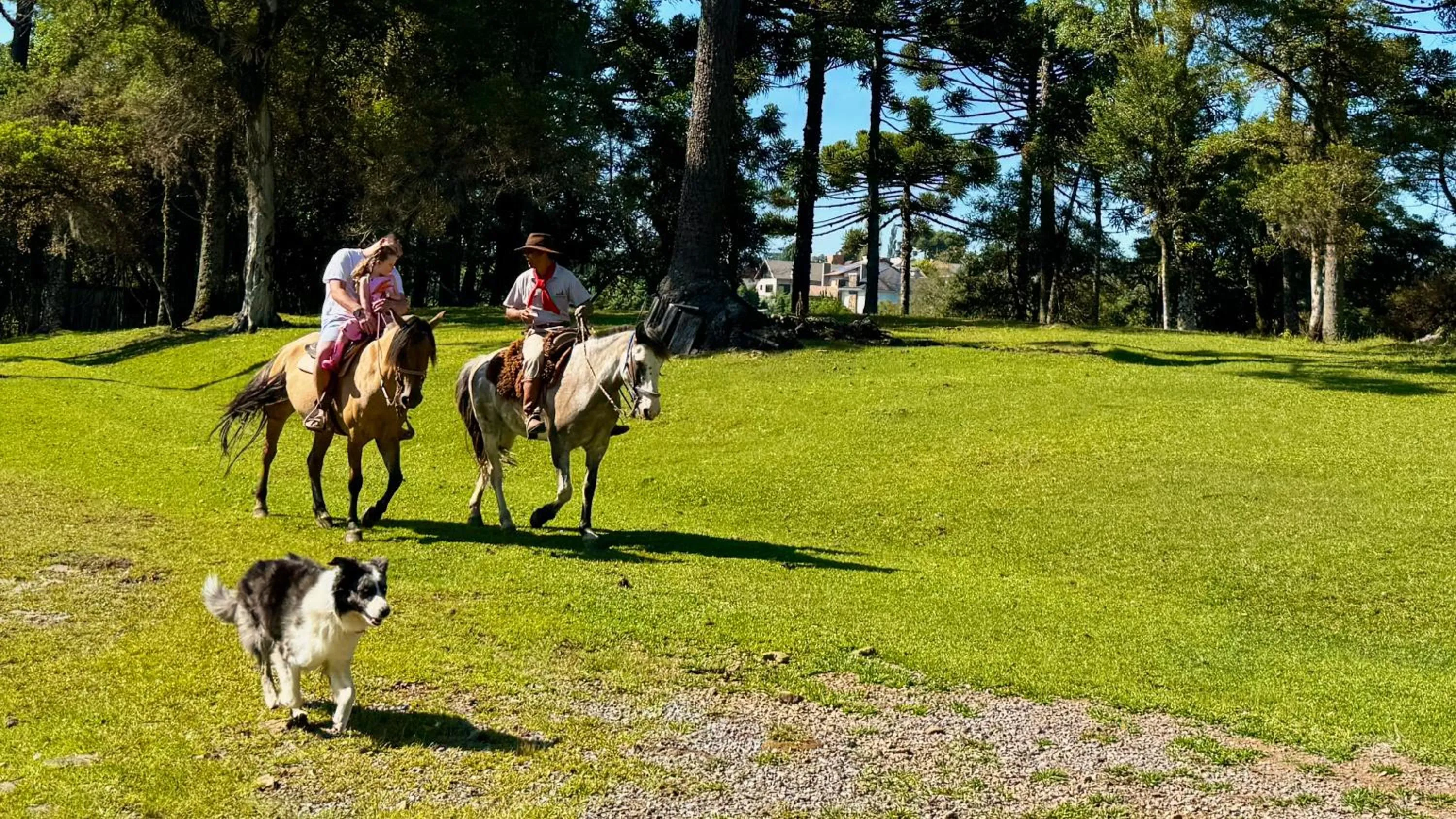Horse-riding in WoodStone Hotel Fazenda