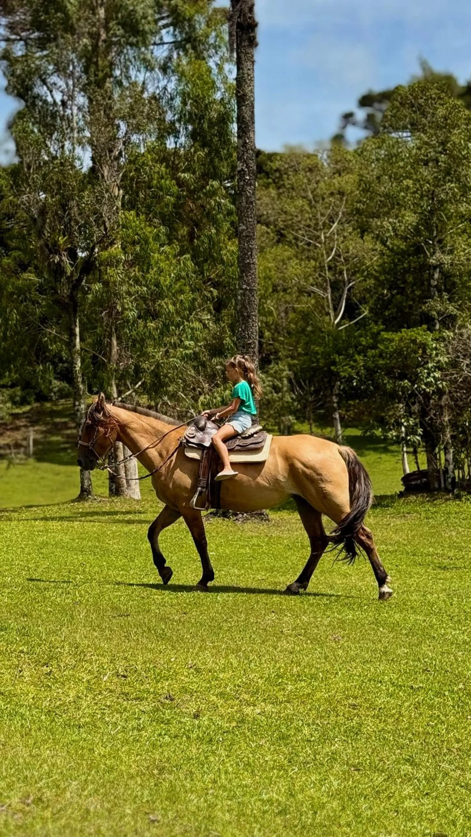 Horse-riding in WoodStone Hotel Fazenda