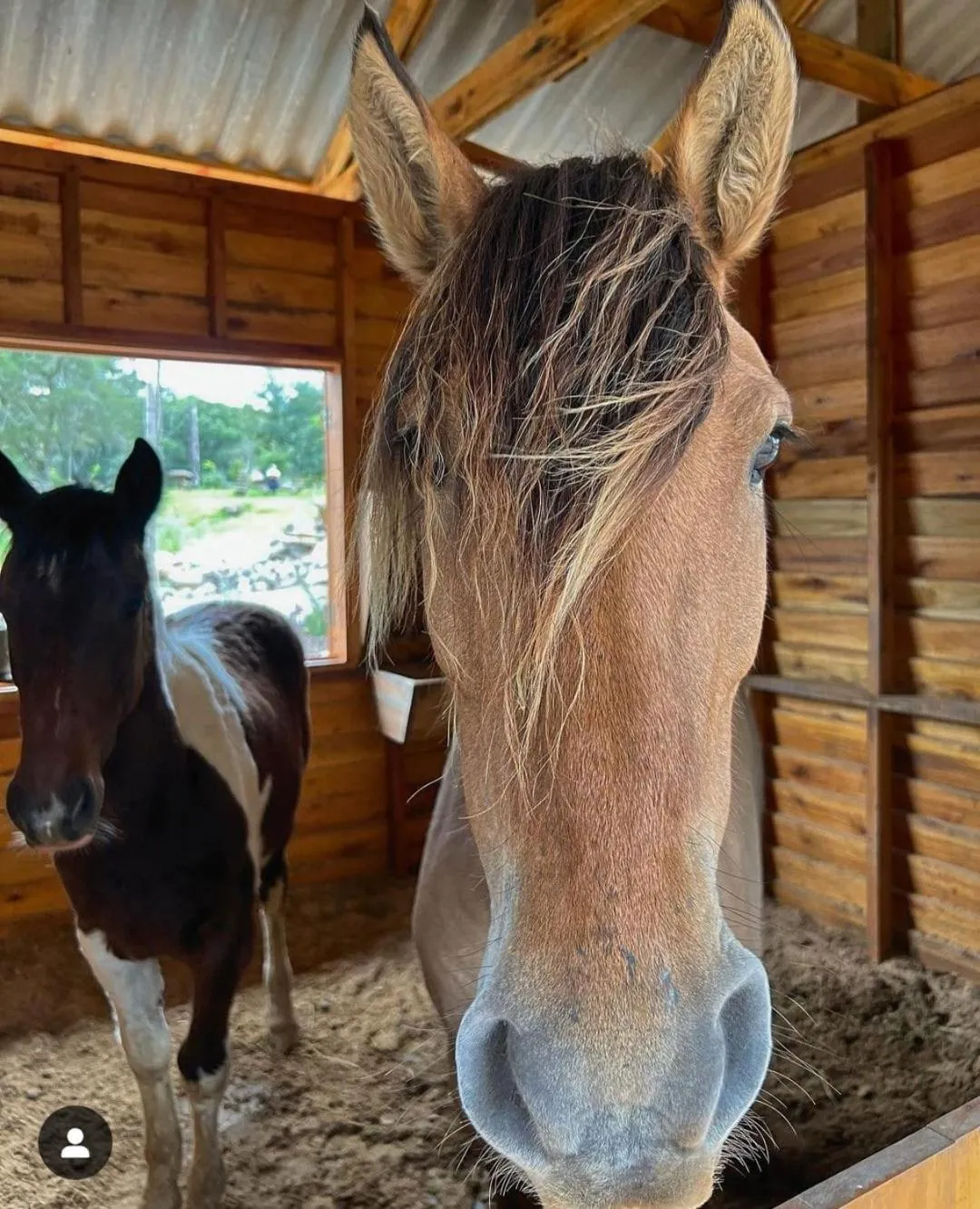 Horse-riding in WoodStone Hotel Fazenda