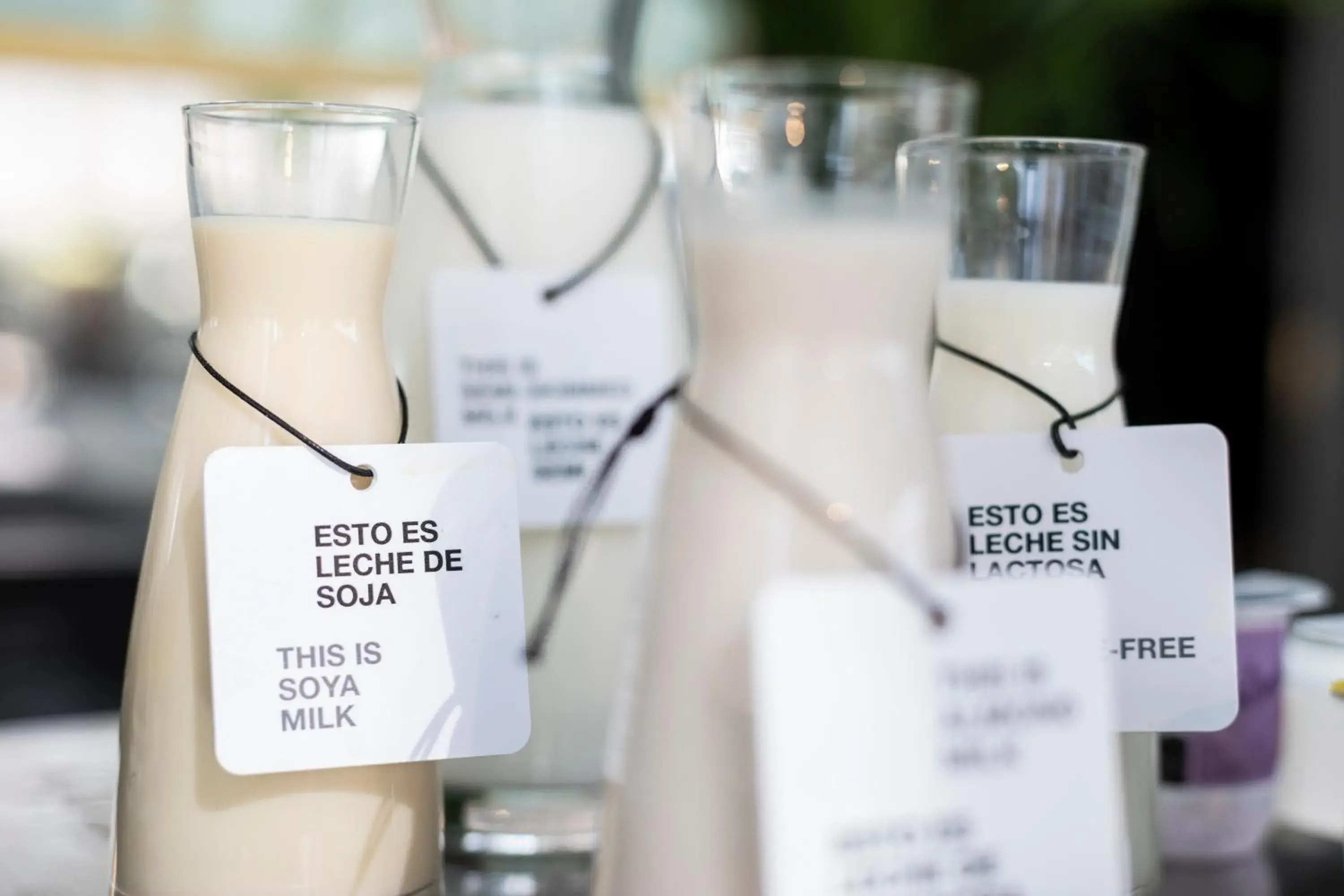 Buffet breakfast in Petit Palace Alcalá Buffet breakfast in Petit Palace Alcalá