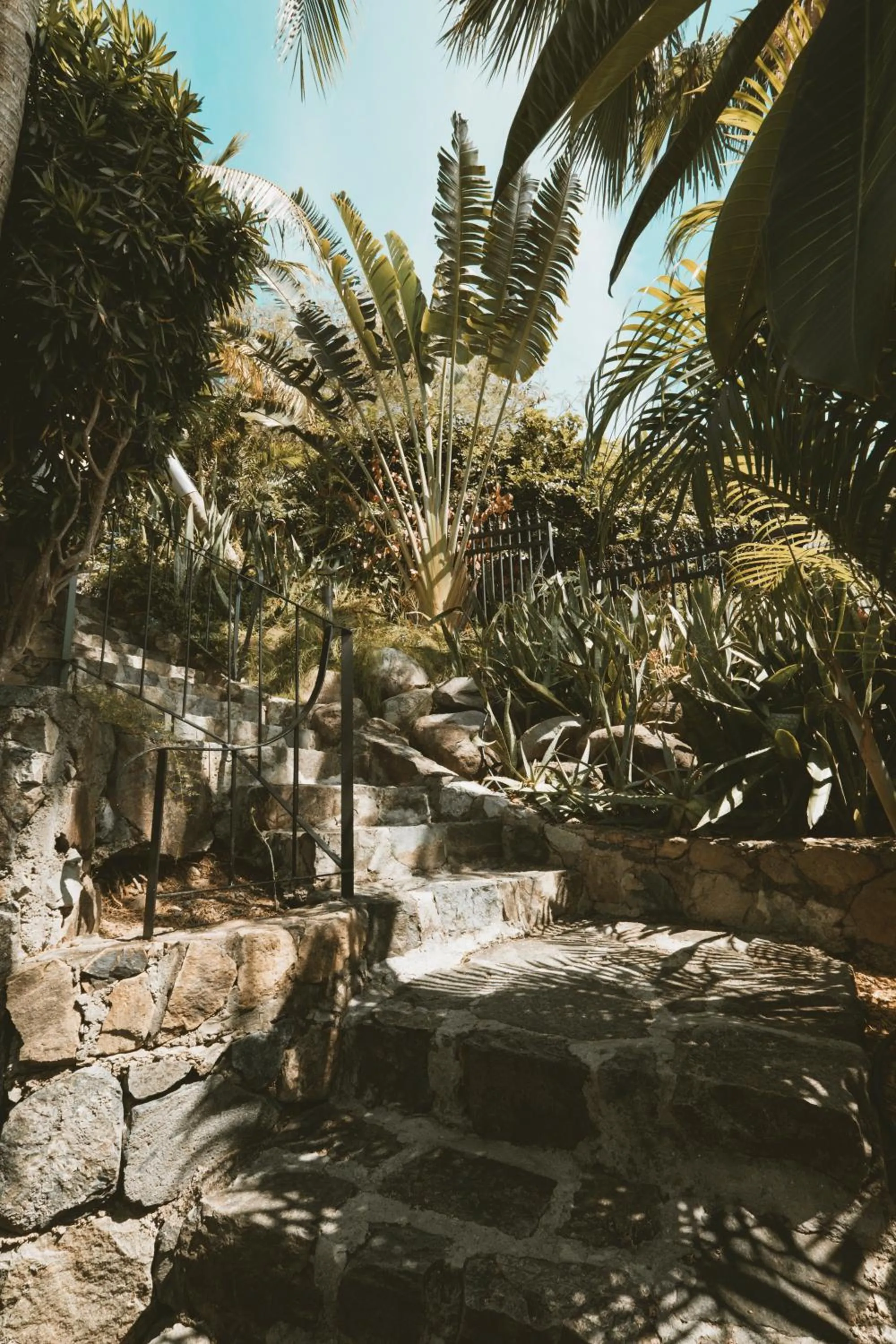 Natural landscape in La Villa Hibiscus, Saint Martin