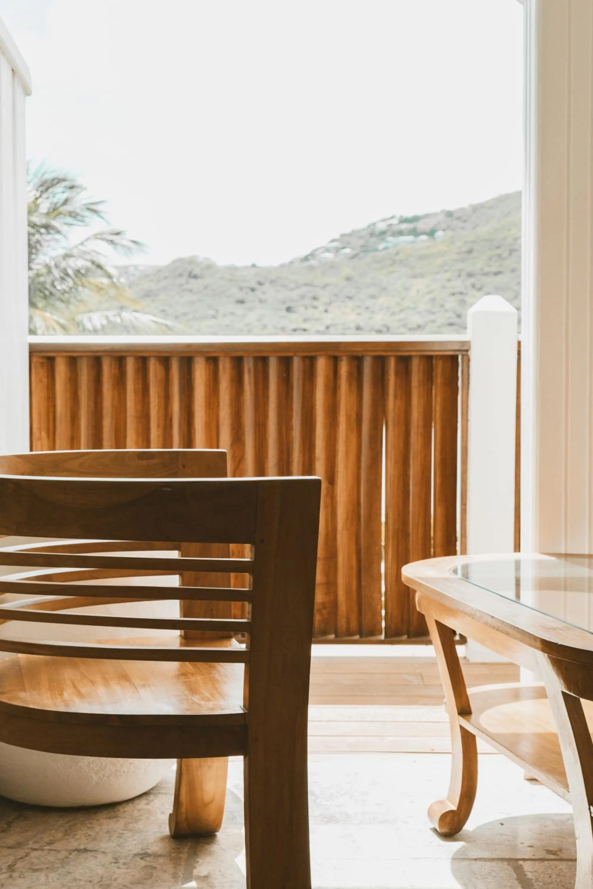 Natural landscape in La Villa Hibiscus, Saint Martin