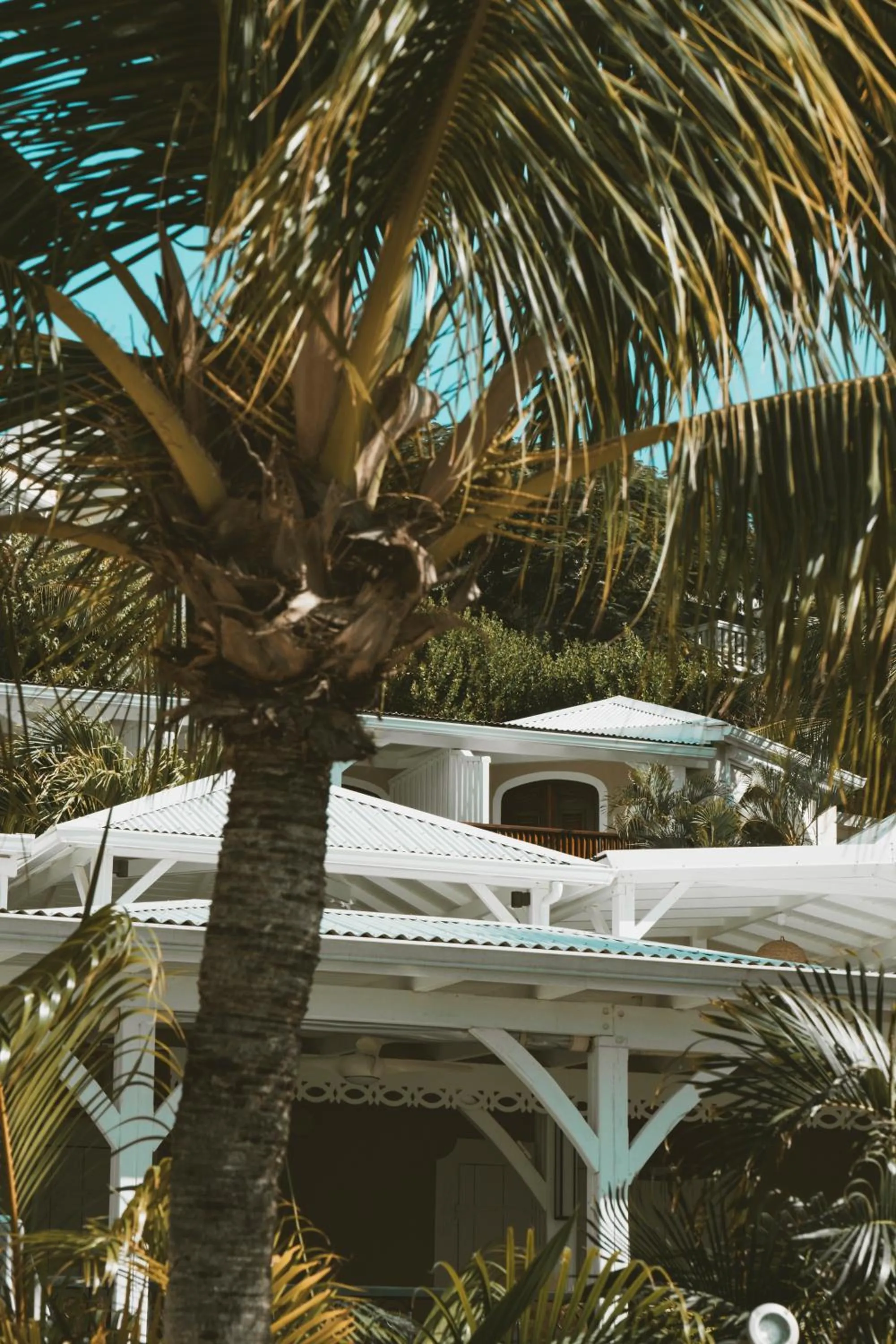 Property building in La Villa Hibiscus, Saint Martin