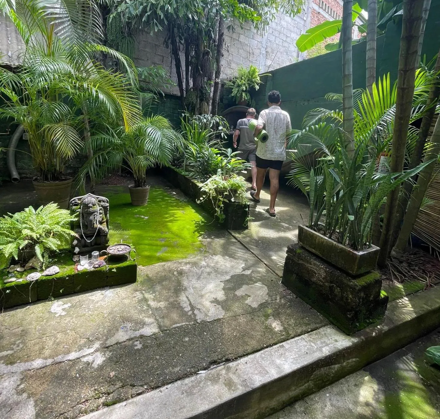 Garden in Akoma Sayulita