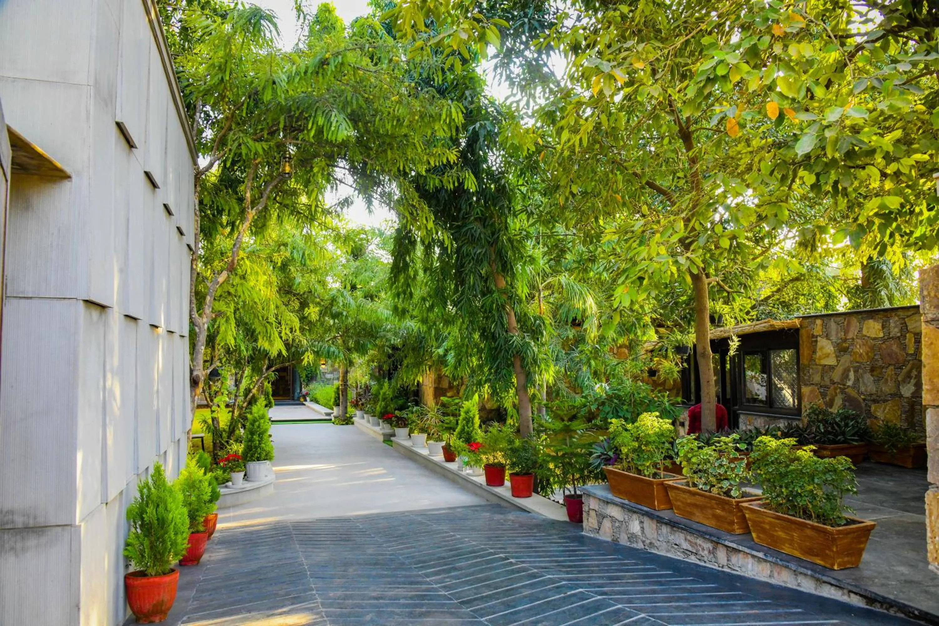 Day in The Out House Pushkar