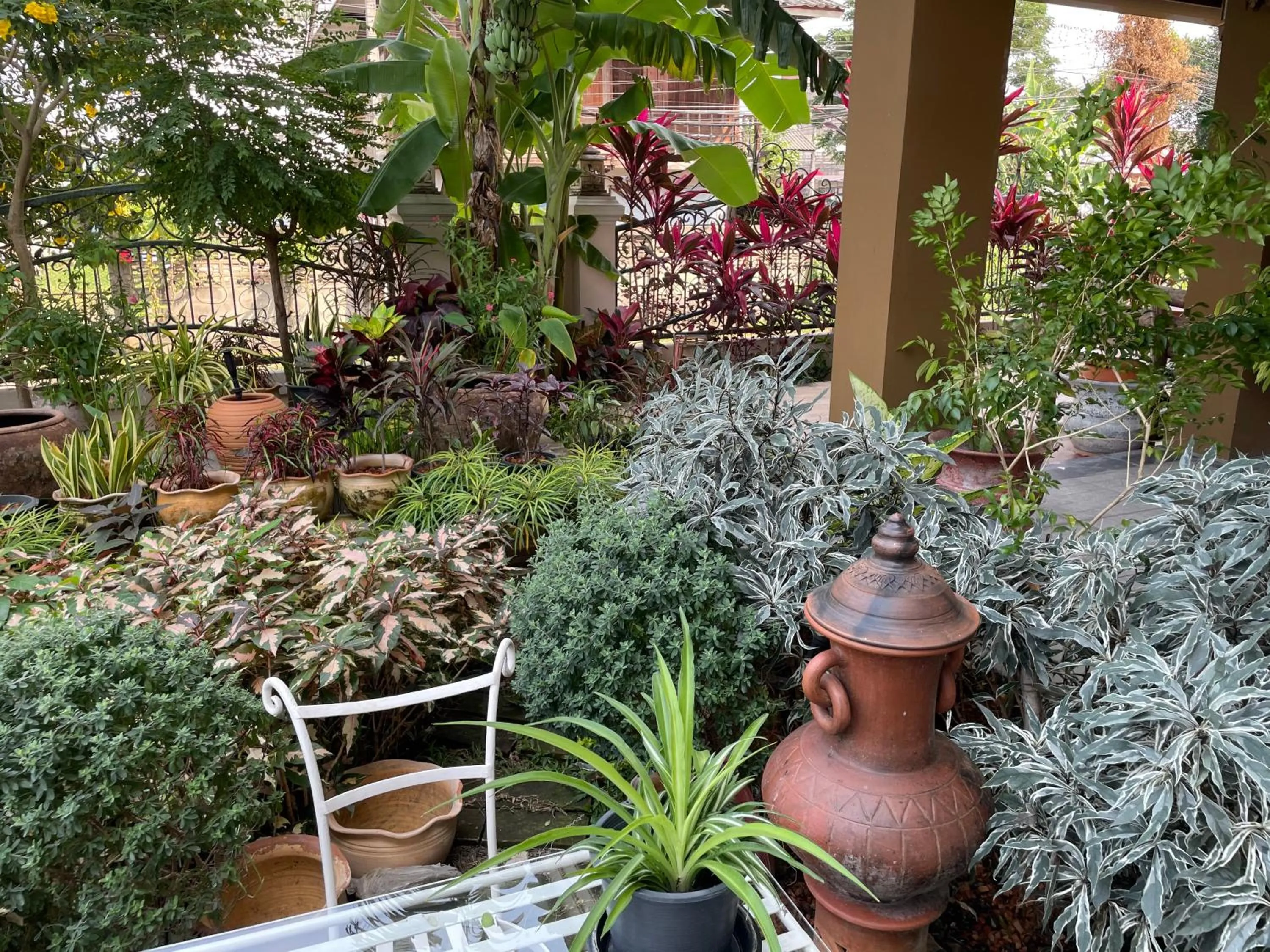 Garden in Laph Kham House