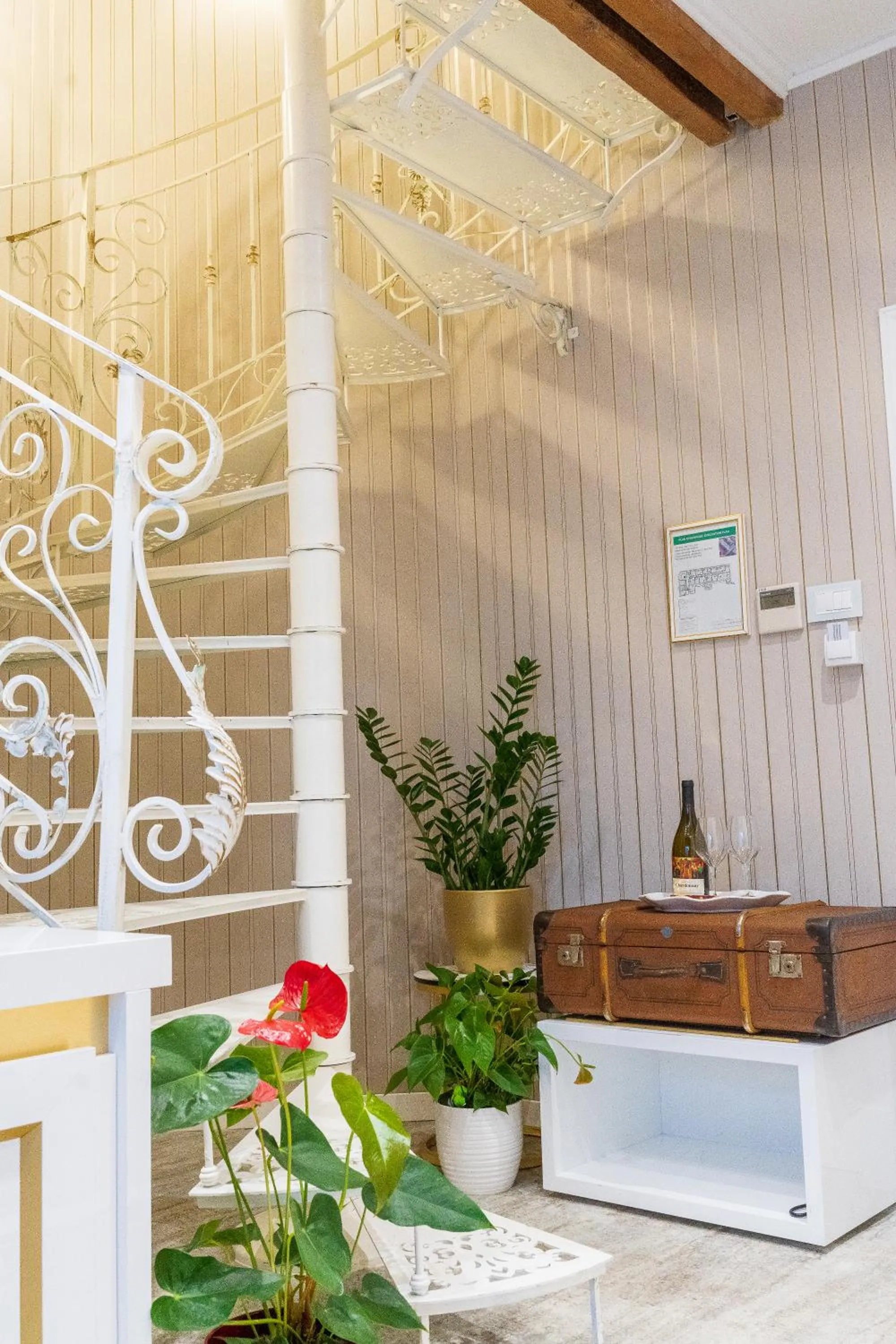 Photo of the whole room in Queen Palace