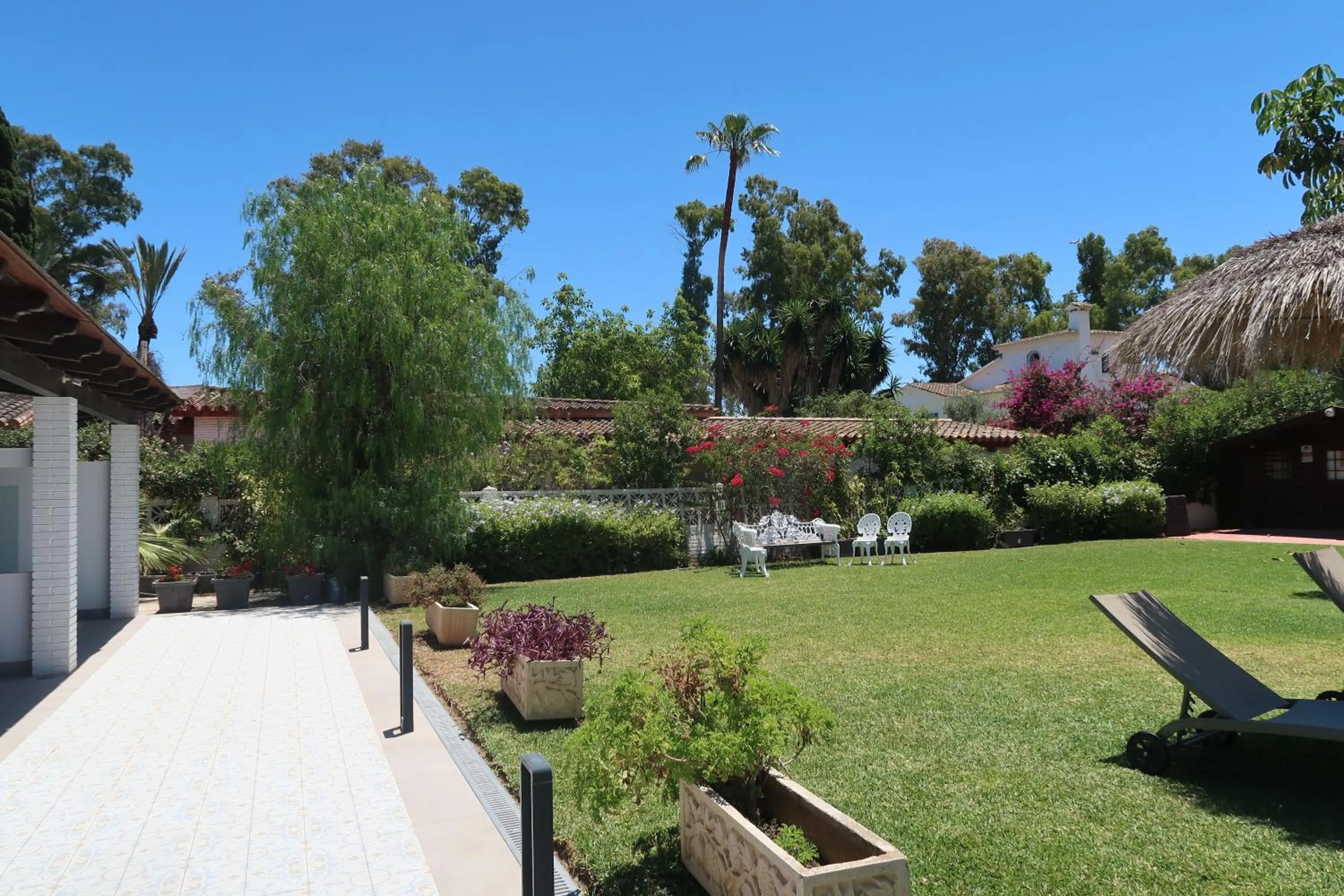 Balcony/Terrace in Hotel Malaga Picasso
